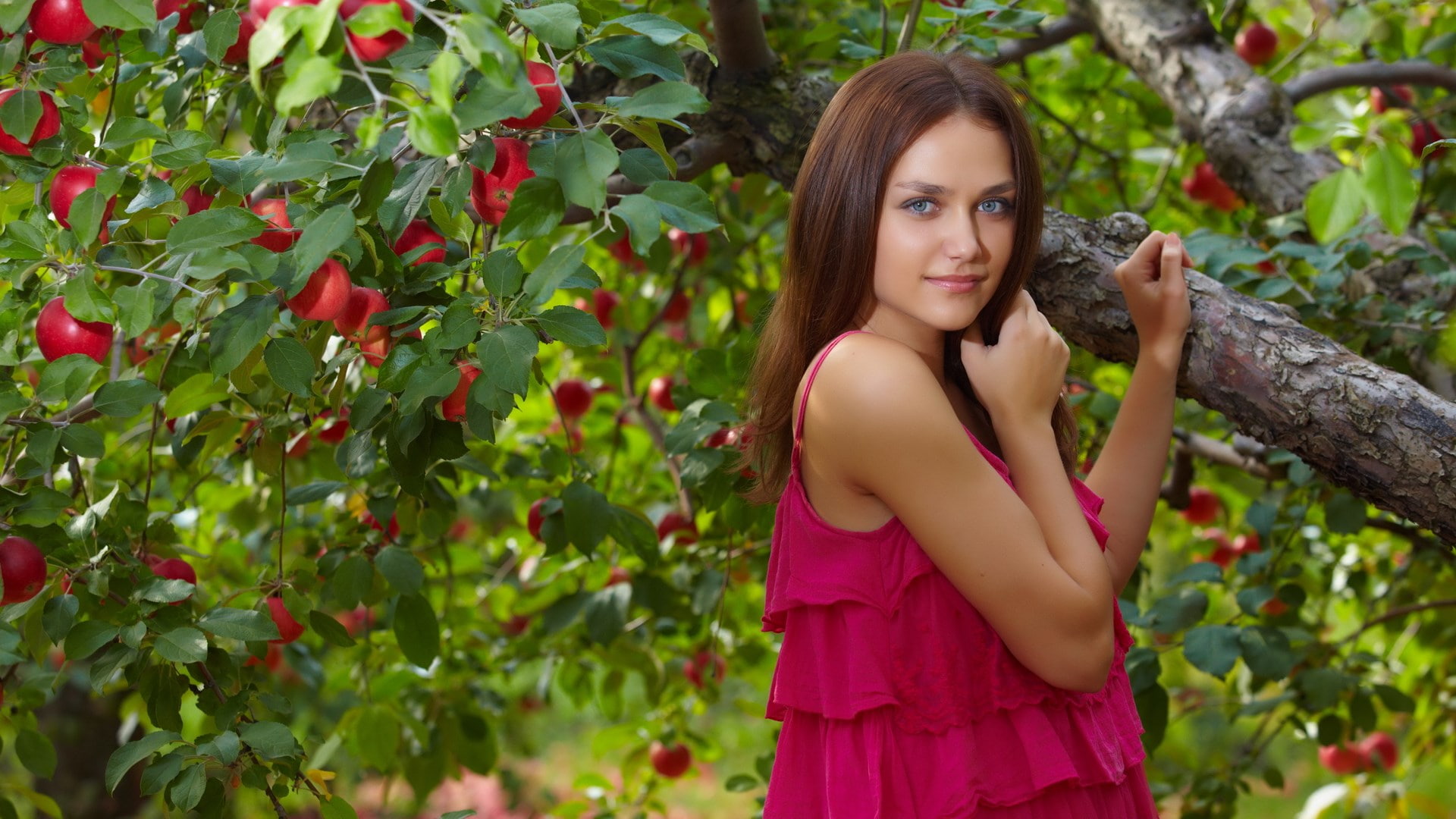 Apple Tree Girl Hd , HD Wallpaper & Backgrounds