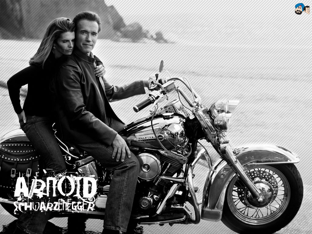 Arnold Schwarzenegger , HD Wallpaper & Backgrounds