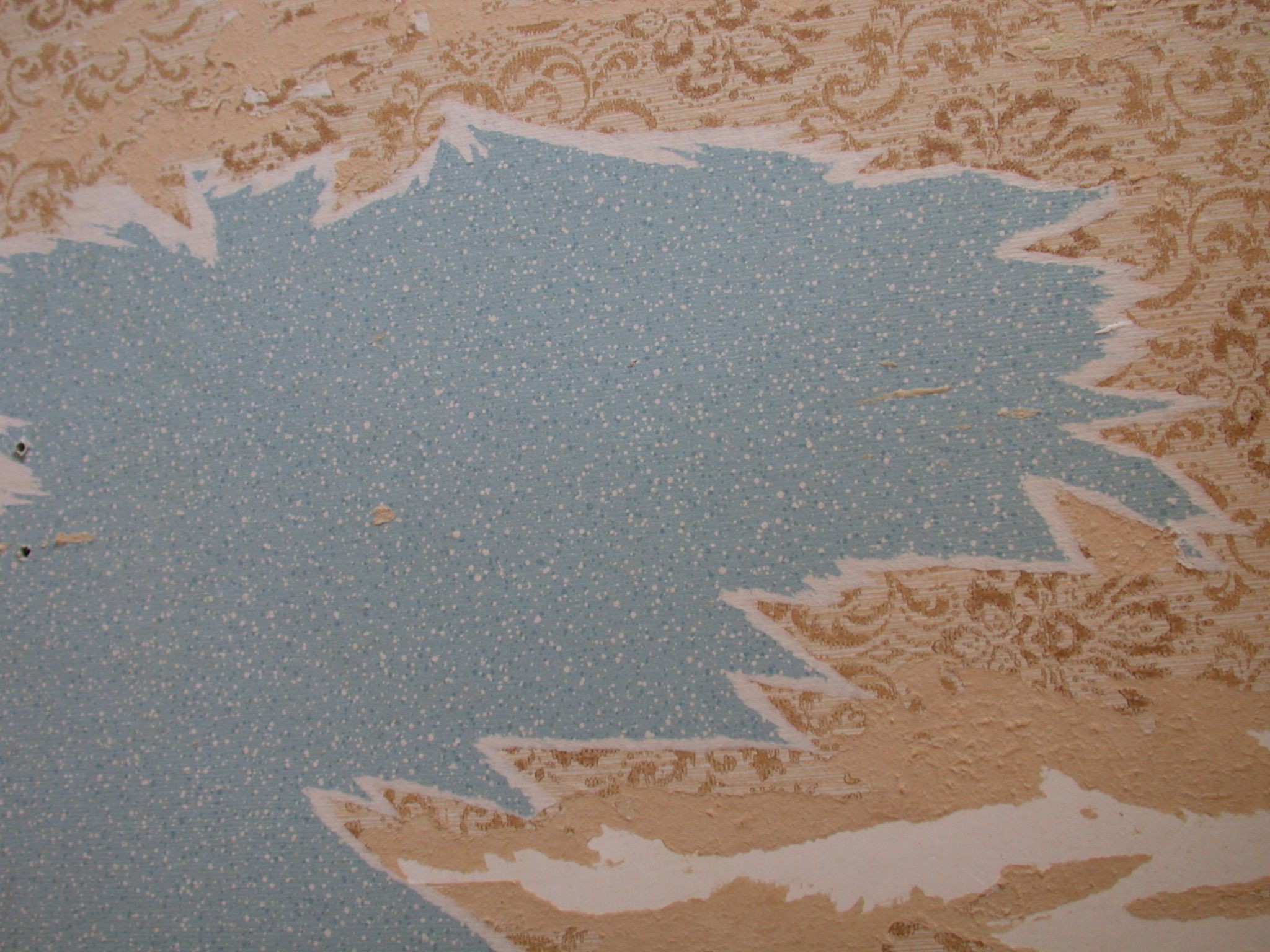 Image After Photos Paper Wallpaper Texture Ripped Torn - Ripped Wallpaper Texture , HD Wallpaper & Backgrounds