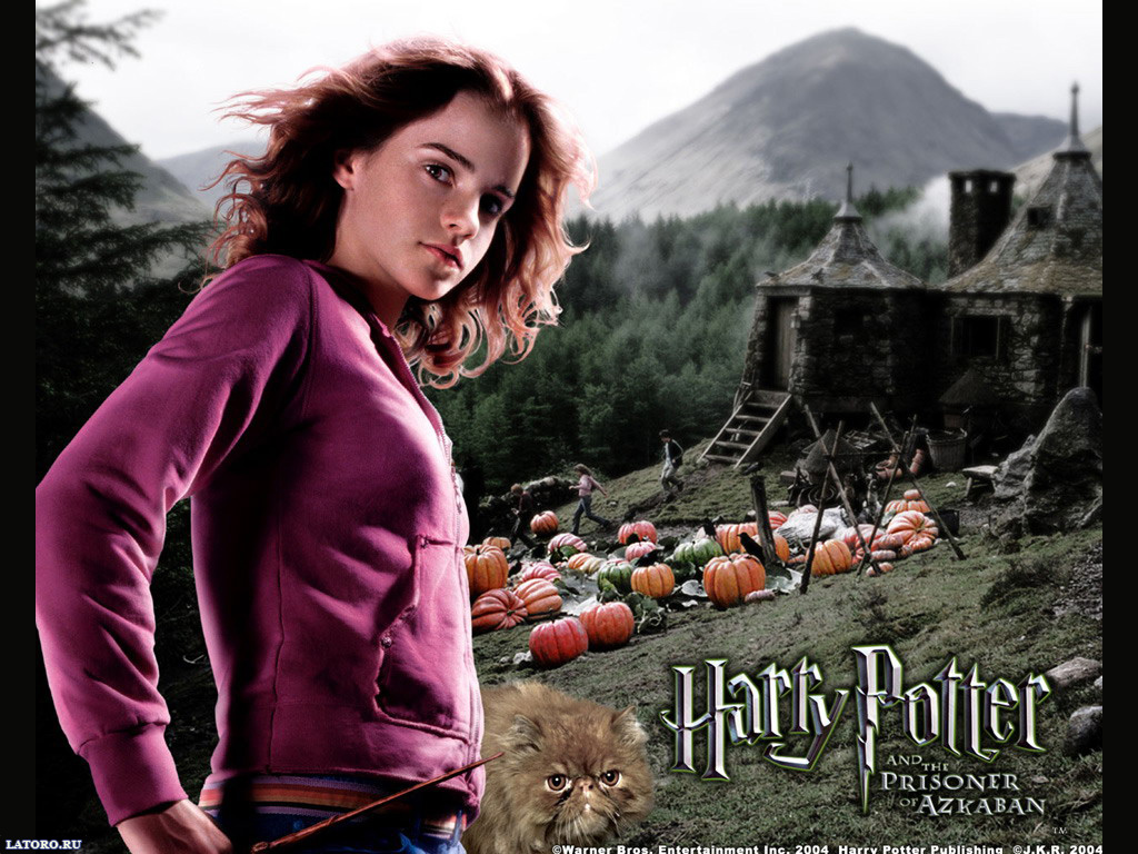 Desktop Wallpapers Free Harry Potter - Harry Ron And Hermione 3th Year , HD Wallpaper & Backgrounds