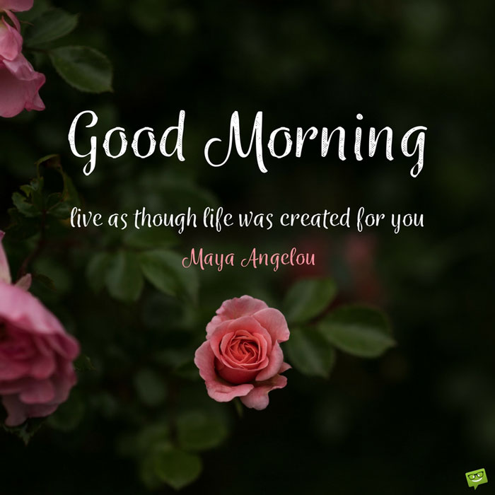 Live As Though Life Was Created For You - Good Morning Good Though , HD Wallpaper & Backgrounds