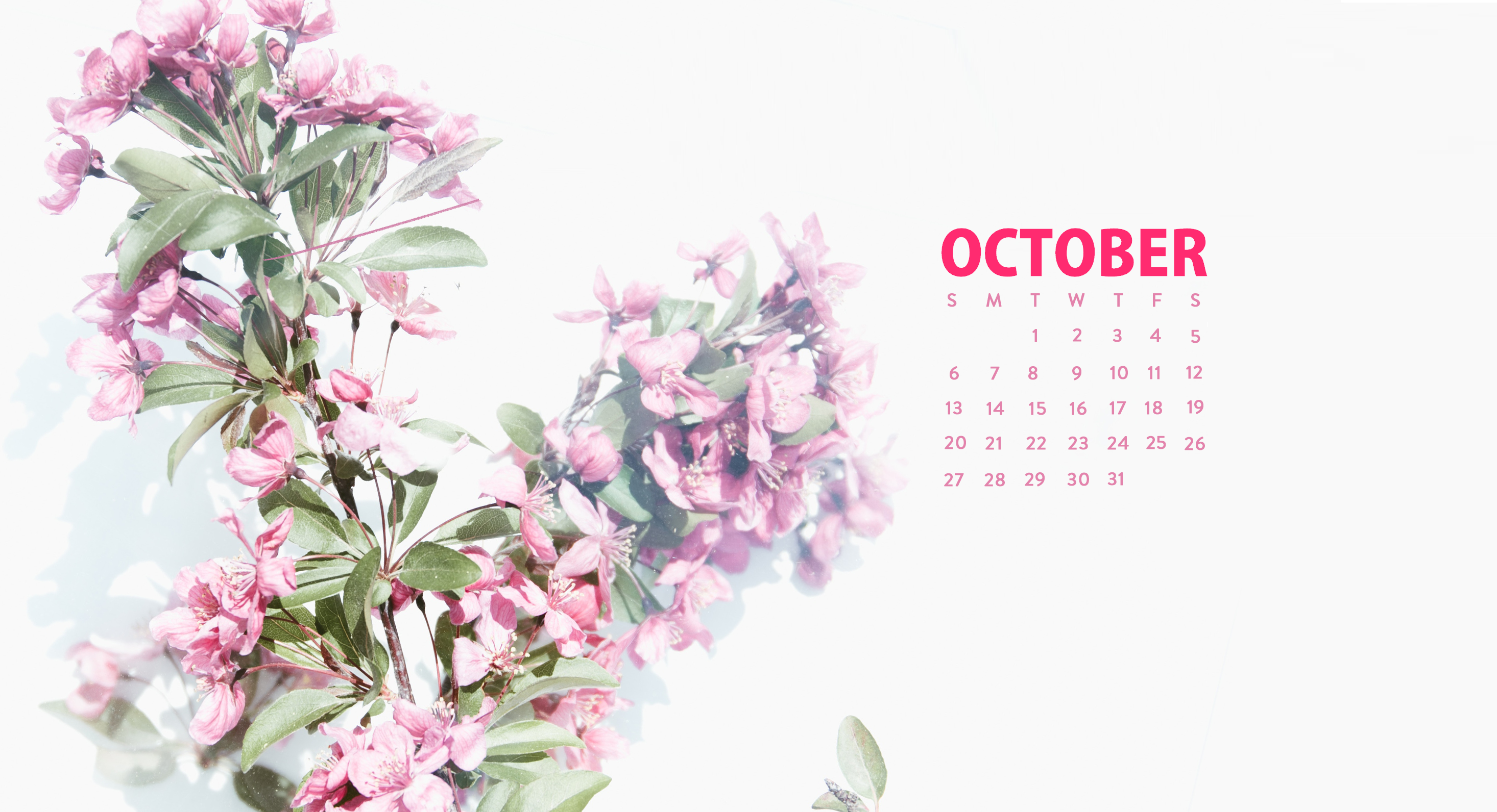 Floral October 2019 Desktop Wallpaper - October Desktop Wallpaper 2019 , HD Wallpaper & Backgrounds