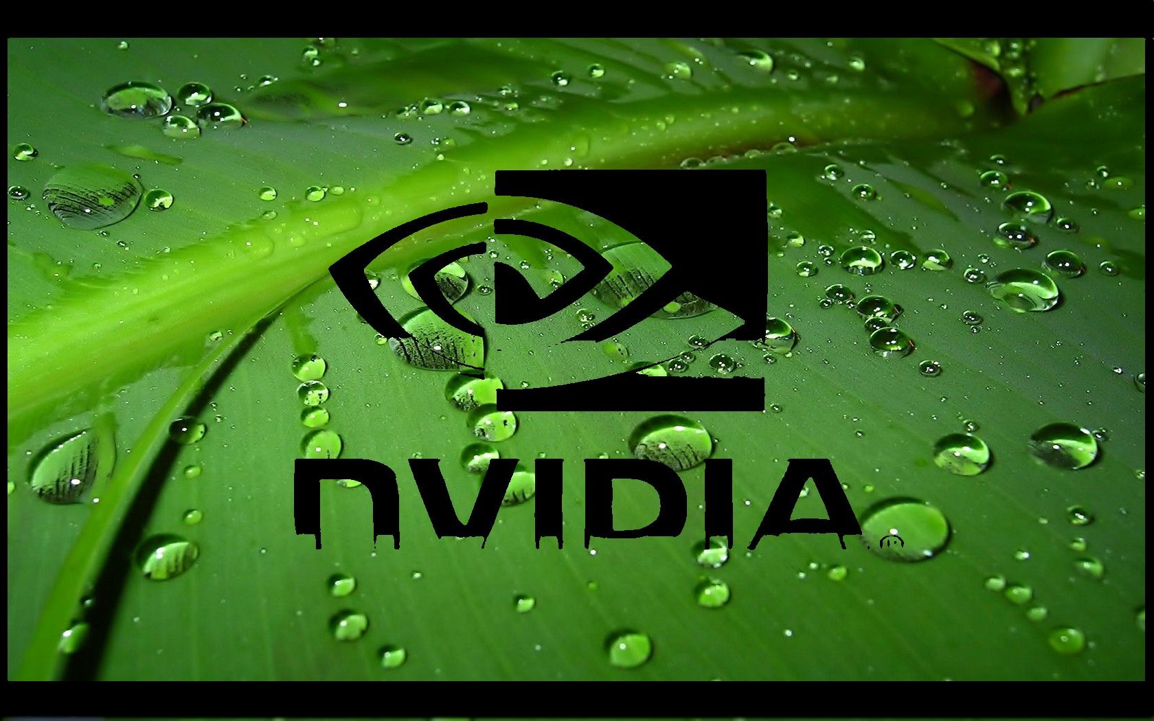 Nvidia Gtx Wallpaper Hd Hd Wallpaper Backgrounds Download