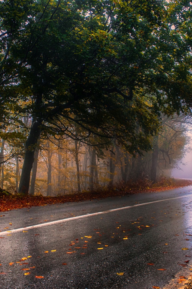 Rainy Road Wallpaper Phone , HD Wallpaper & Backgrounds