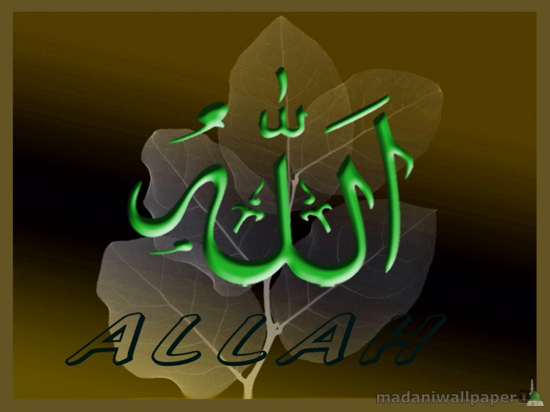 Allah Wallpaper Free Download - Calligraphy , HD Wallpaper & Backgrounds