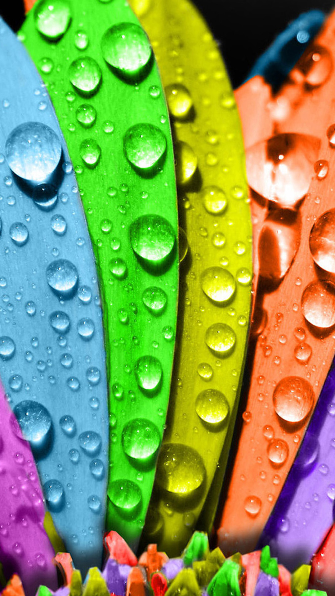 Colorful Macro Water Drops Android Wallpaper - Rainbow For Dp , HD Wallpaper & Backgrounds
