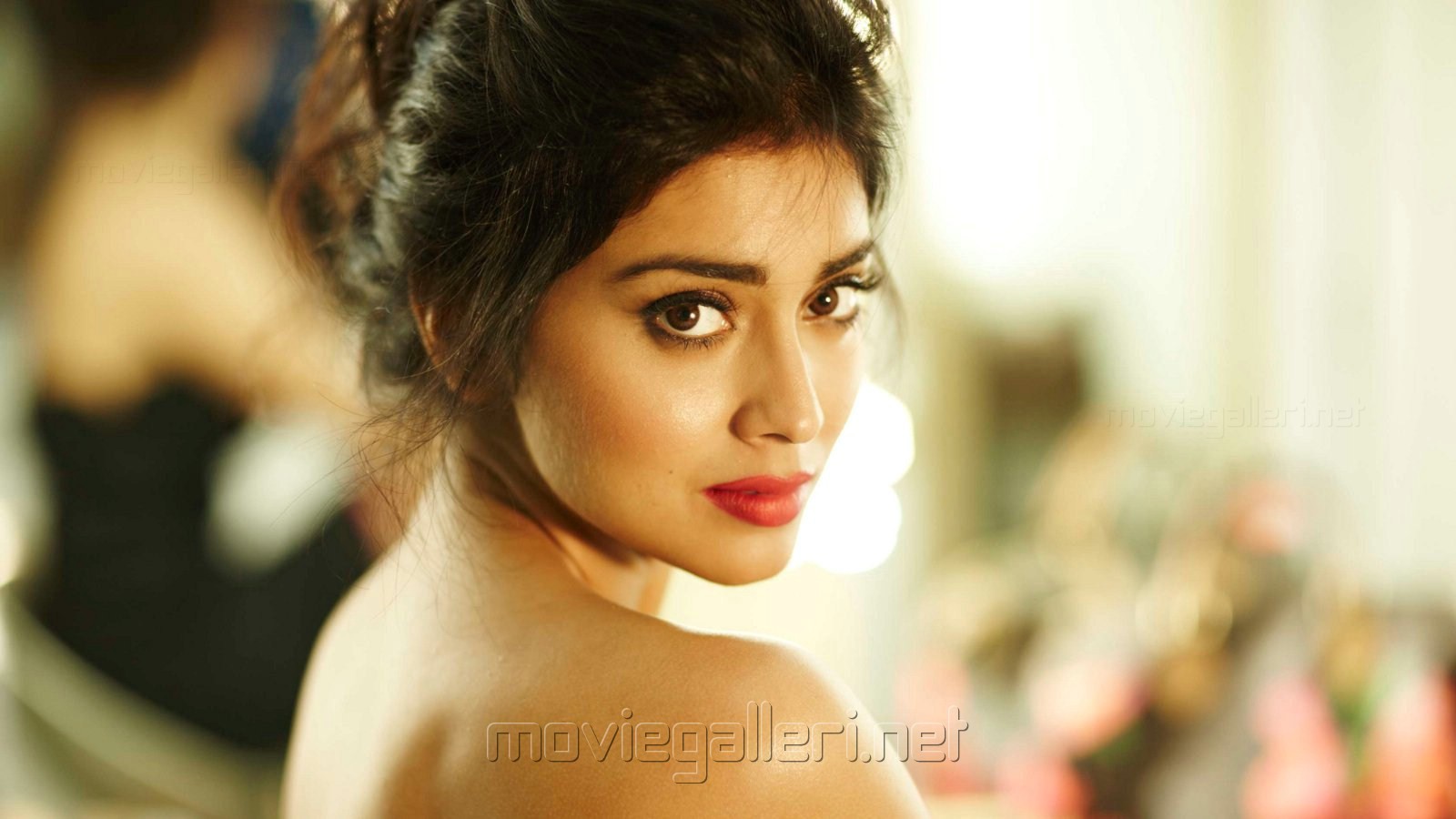 Hd Wallpapers Of Shriya Saran , HD Wallpaper & Backgrounds