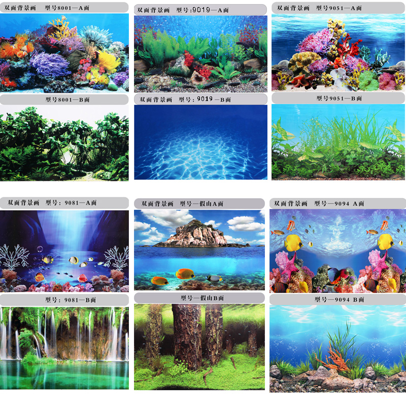 Aquarium , HD Wallpaper & Backgrounds