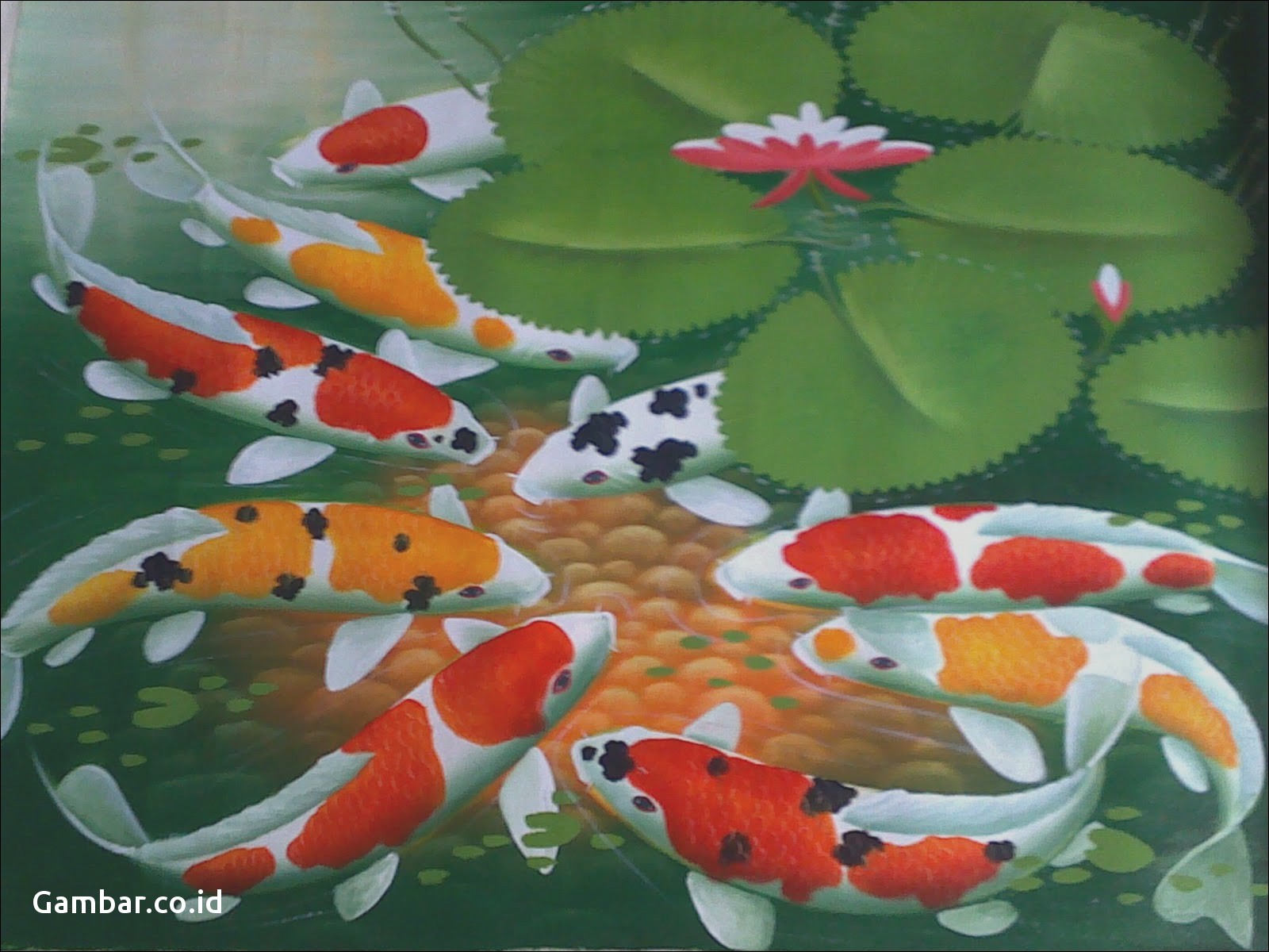 Moving Koi Fish Wallpaper - High Resolution Koi Fish Wallpaper Hd , HD Wallpaper & Backgrounds