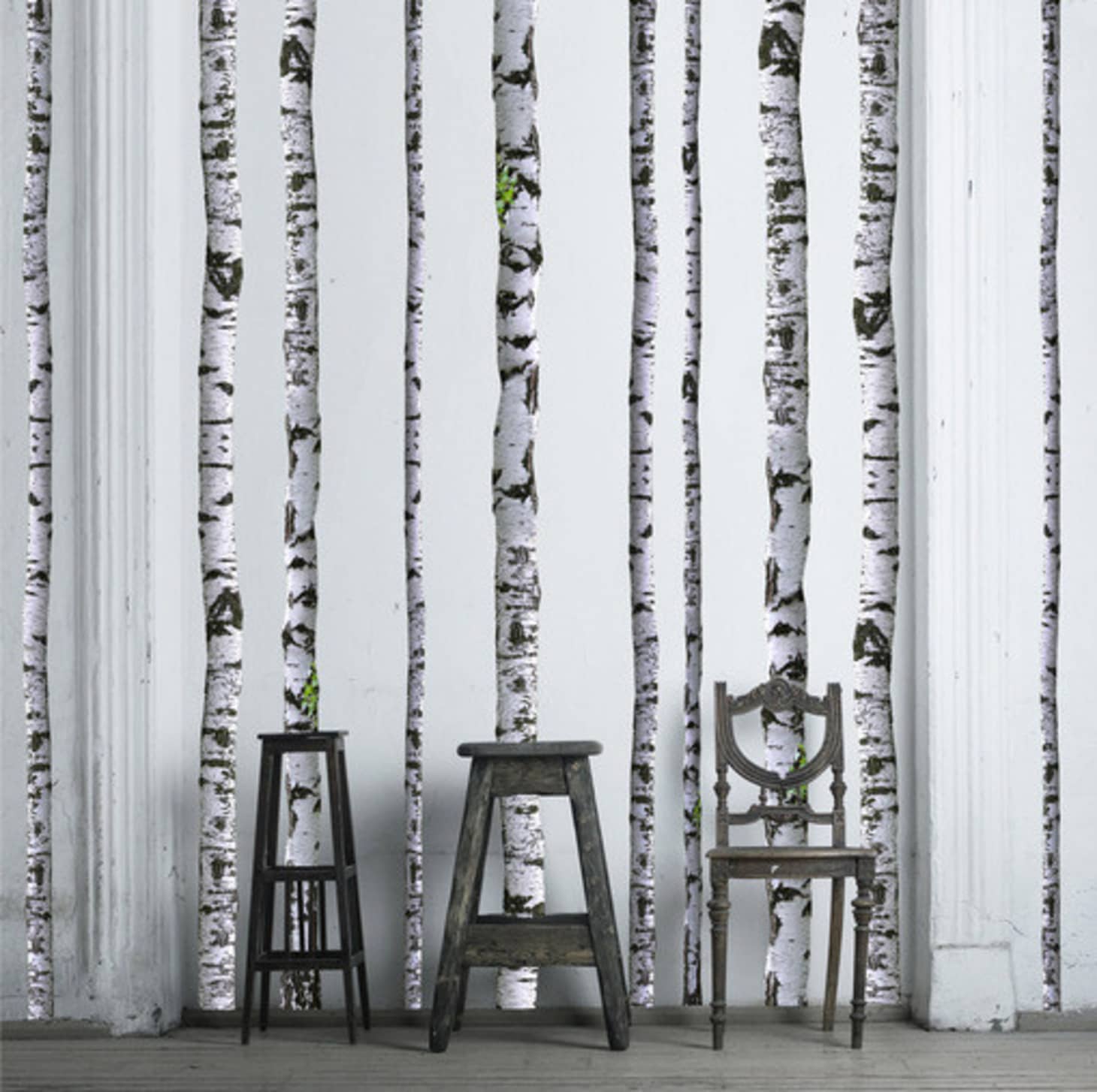 Real Birch Tree Wall Decals , HD Wallpaper & Backgrounds