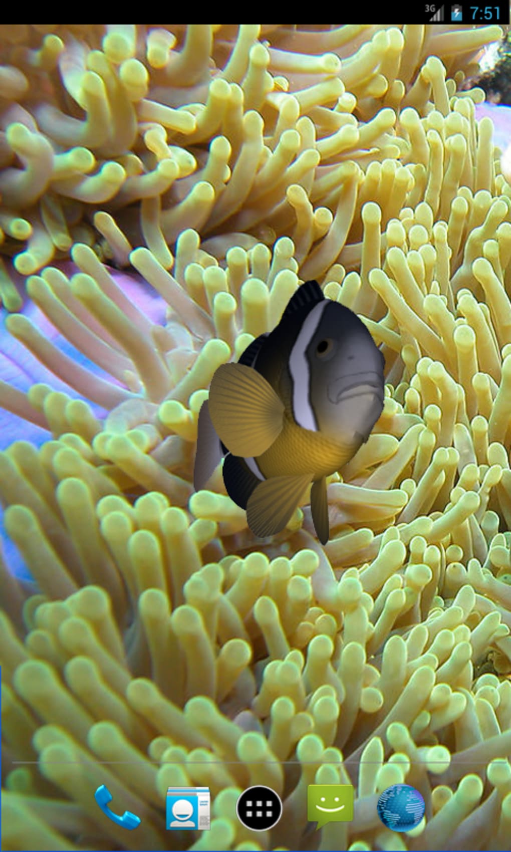 3d Clownfish Live Wallpaper - Beautiful Live Wallpapers For Android Phone , HD Wallpaper & Backgrounds