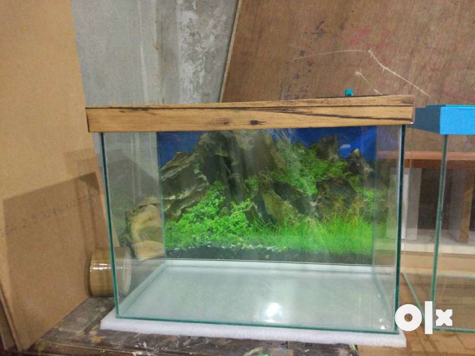 New Fish Tank, Wallpaper, Foam - Aquarium , HD Wallpaper & Backgrounds