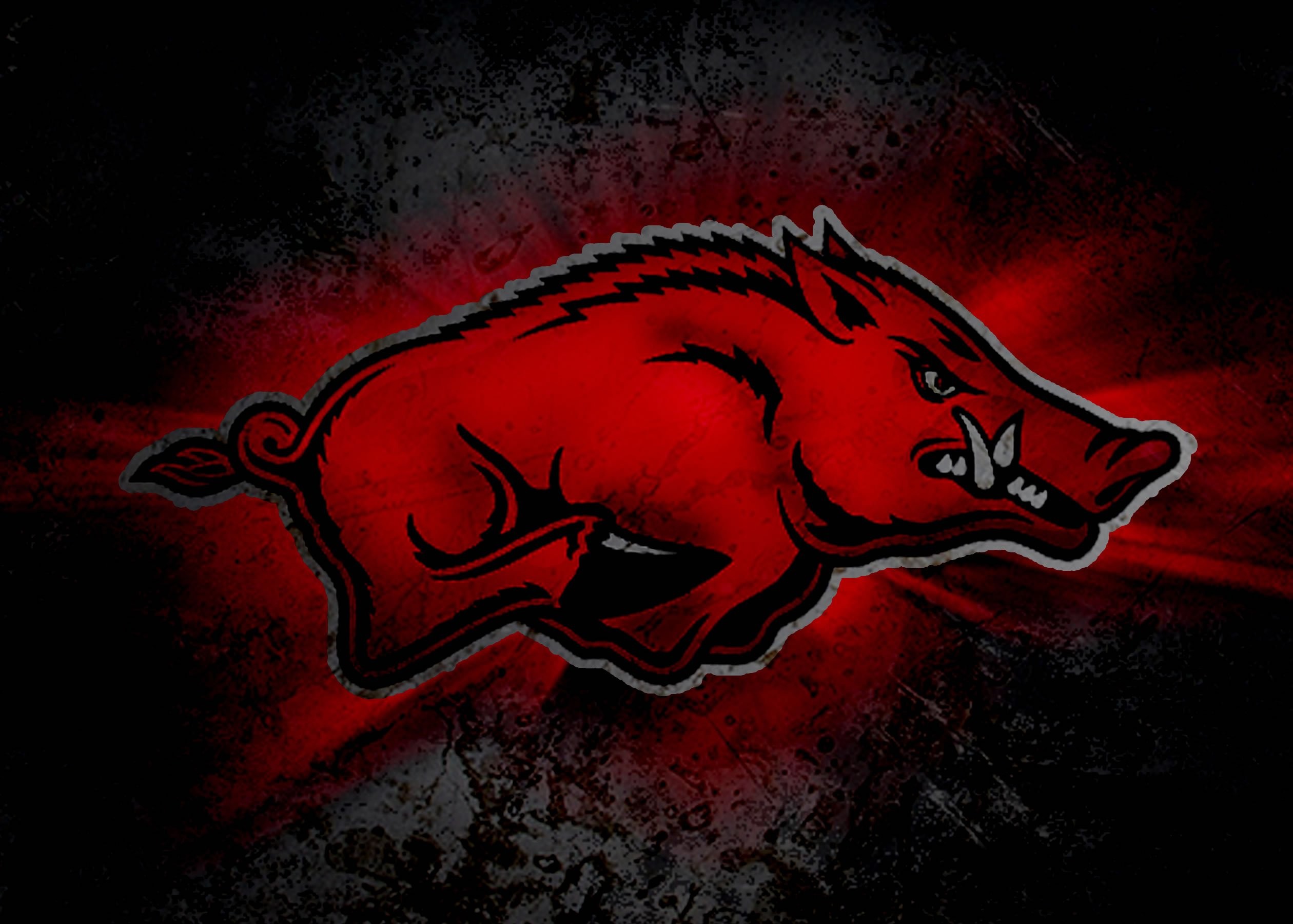 Razorback Wallpaper For Android Wallpapersafari 
 Data-src - Arkansas Razorback Background , HD Wallpaper & Backgrounds