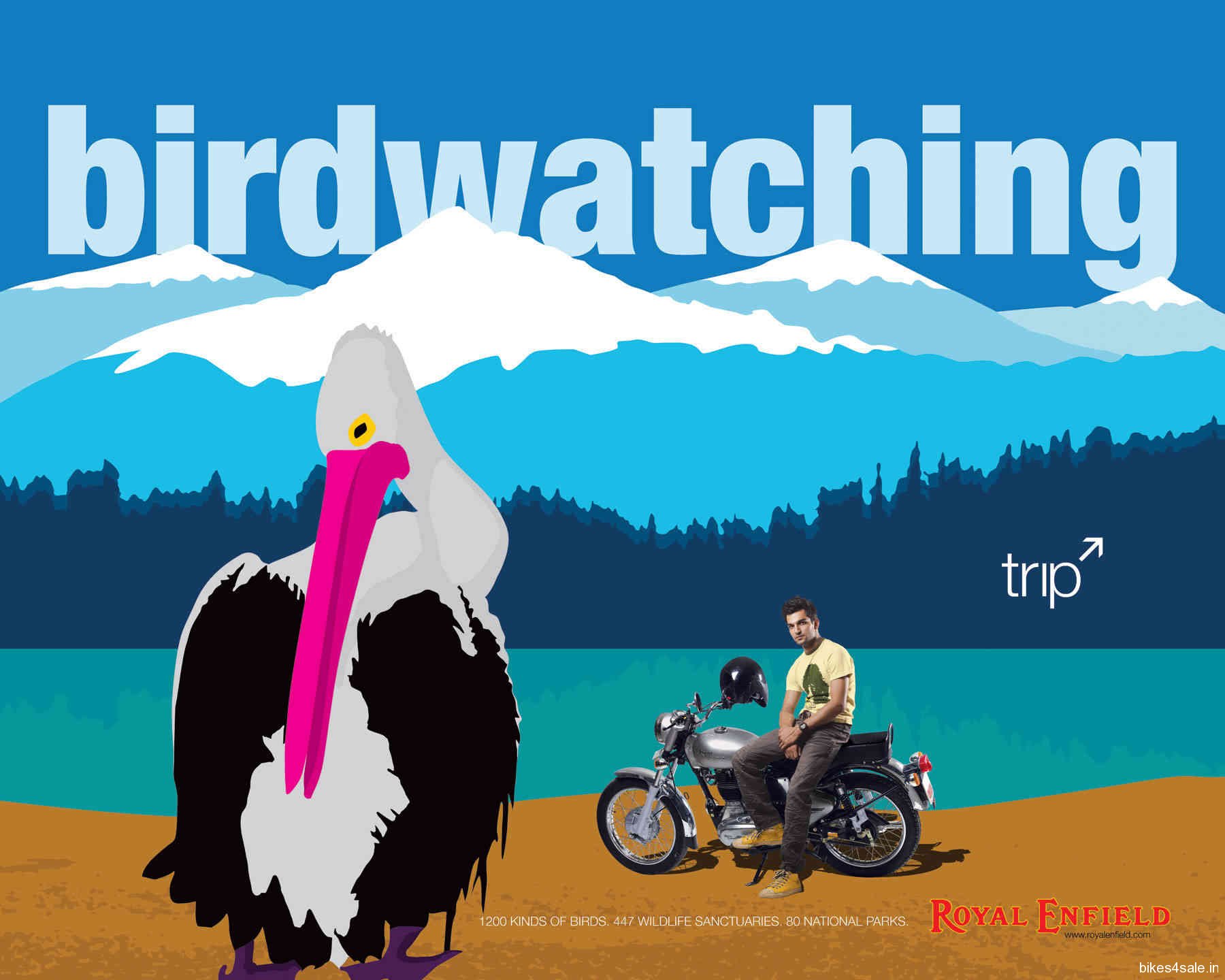 Royal Enfield Trip Bird Watching - Royal Enfield Trip , HD Wallpaper & Backgrounds