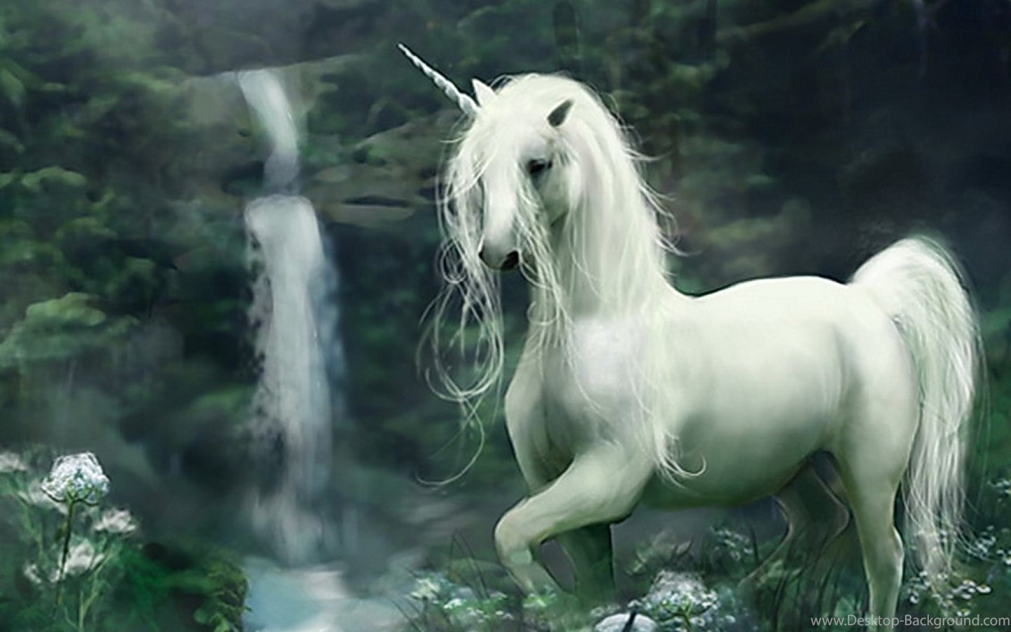 Widescreen - Unicorn Hd Wallpapers 1080p , HD Wallpaper & Backgrounds