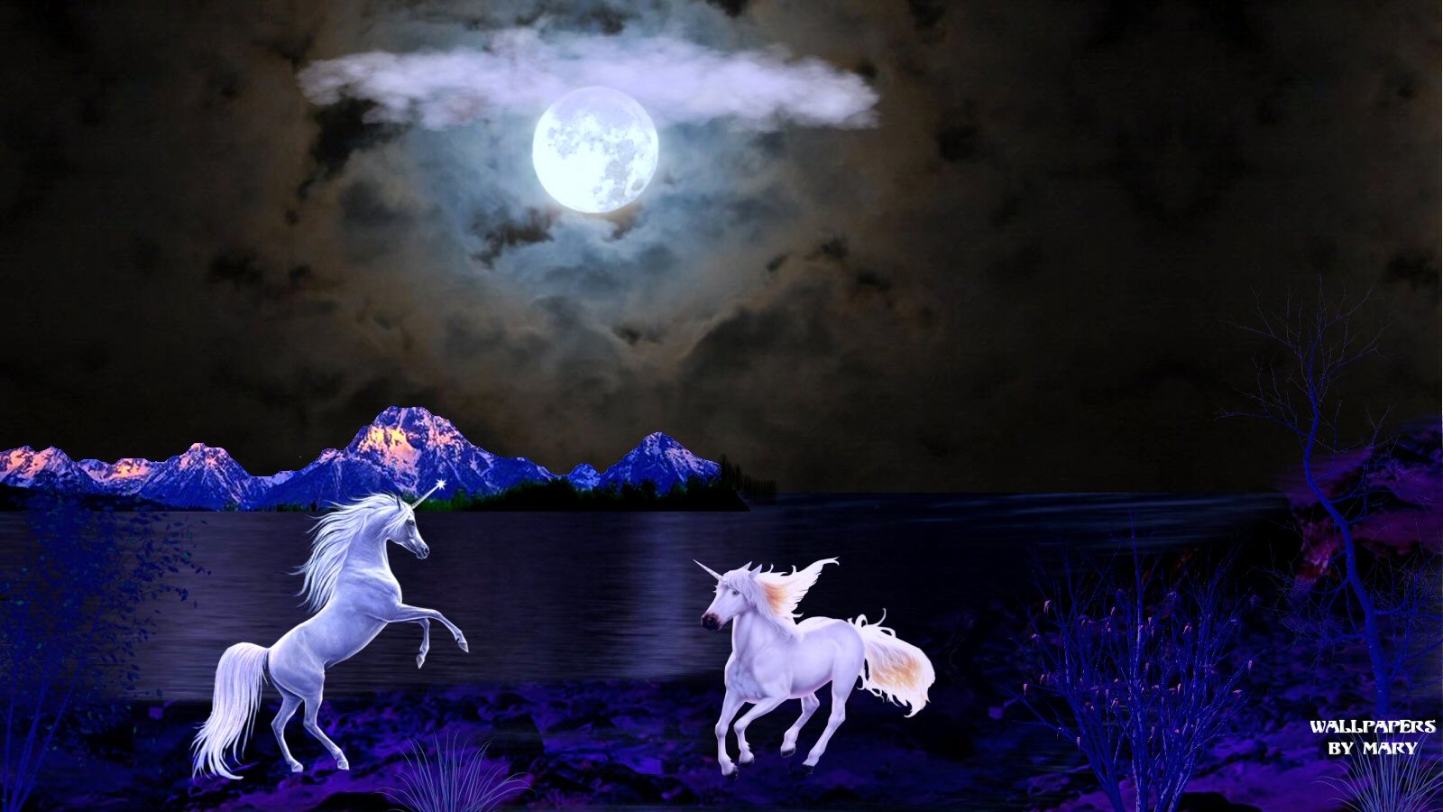 Other Fantasy Lakes Moon Unicorns Unicorn Water Fullmoon - Unicorn In The Mountains , HD Wallpaper & Backgrounds