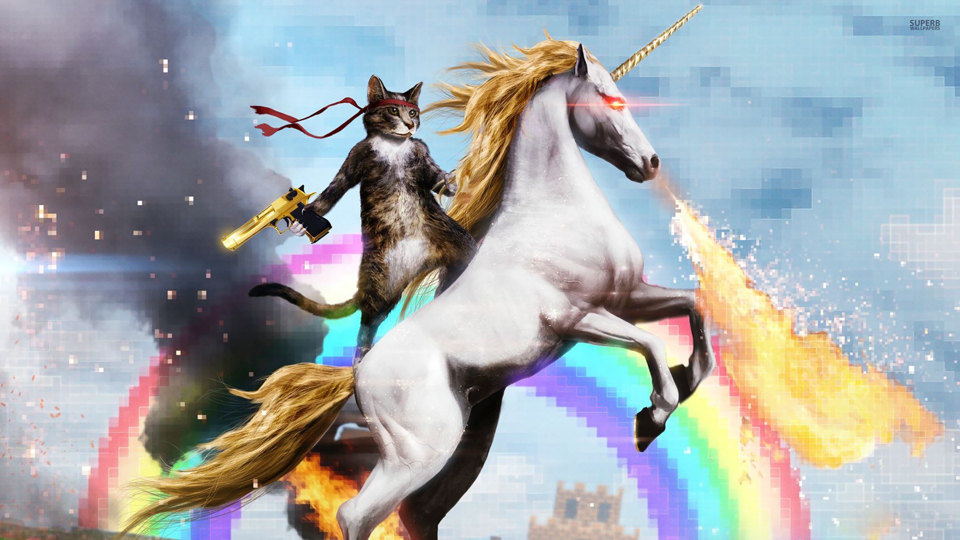 Cat Riding A Fire Breathing Unicorn Google Search Wallpaper - Cat Riding A Unicorn , HD Wallpaper & Backgrounds