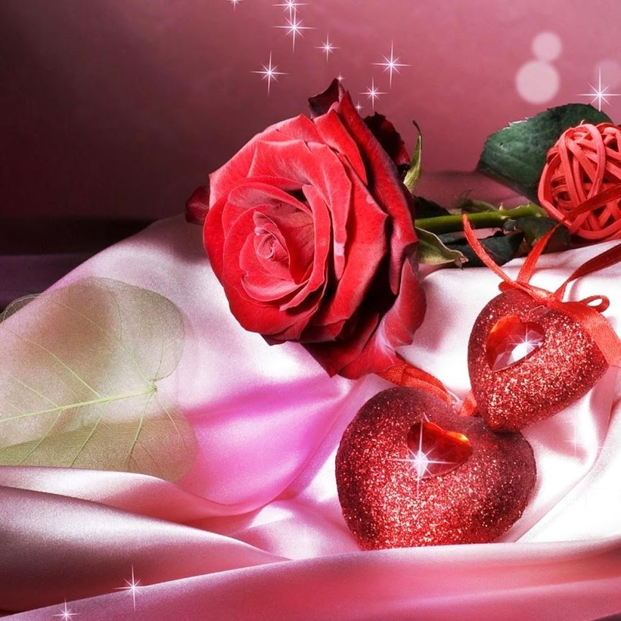 Pink Flower Live Wallpaper - Cute Lovely , HD Wallpaper & Backgrounds