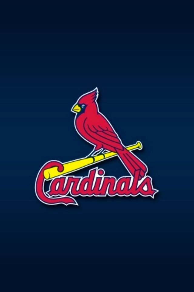 Arizona Cardinals Iphone 5 / Se Wallpaper - St Louis Cardinals Profile , HD Wallpaper & Backgrounds