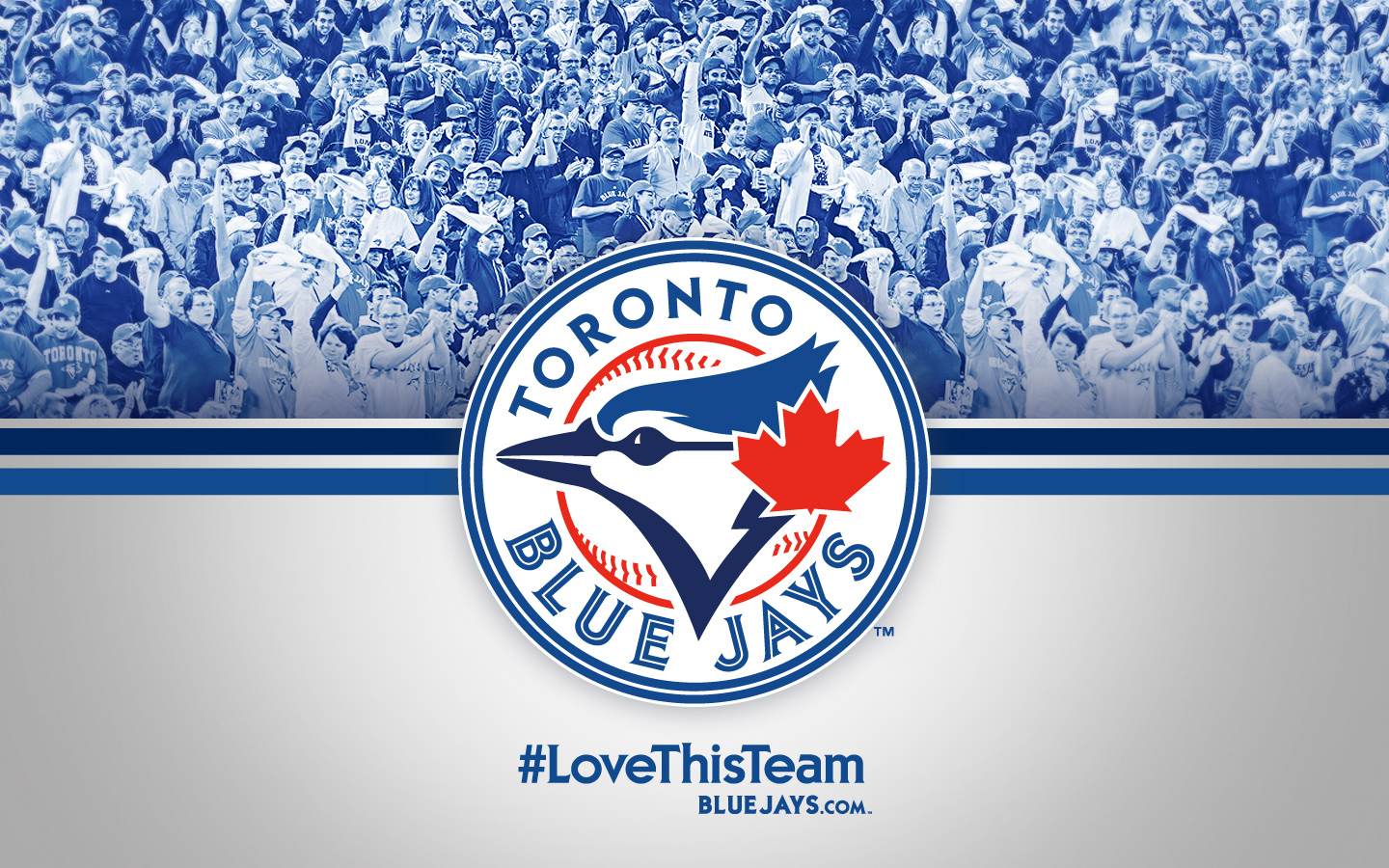 Toronto Blue Jays Images Toronto Blue Jays - Toronto Blue Jays New , HD Wallpaper & Backgrounds