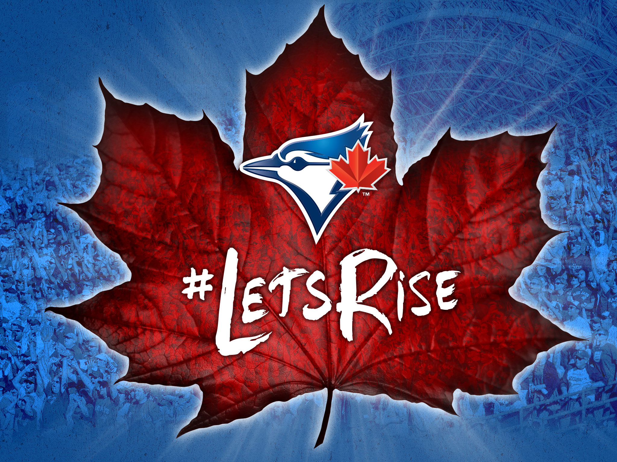 Download Download - Toronto Blue Jays New , HD Wallpaper & Backgrounds