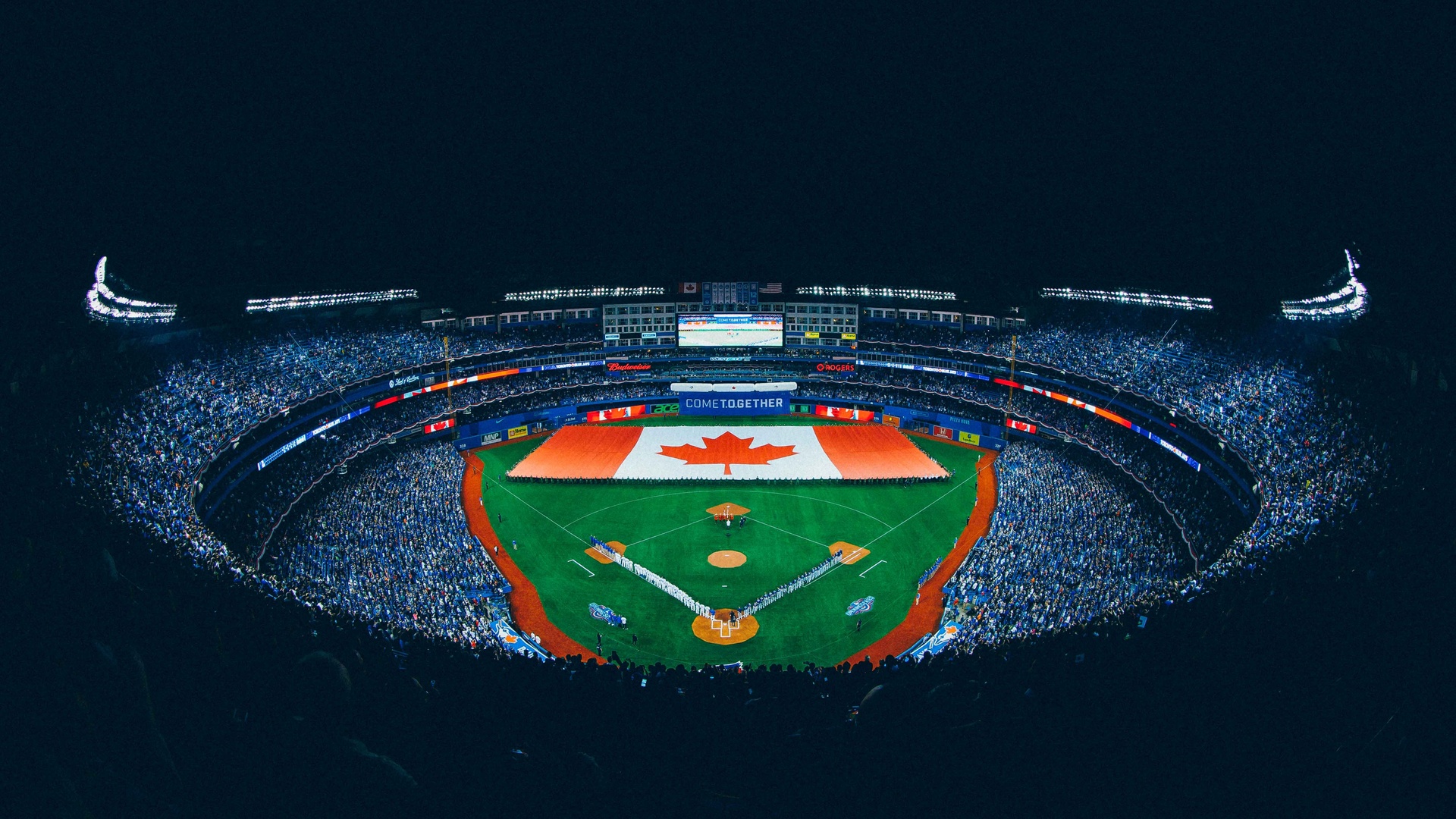 Toronto Blue Jays Wallpaper - Toronto Blue Jays Background , HD Wallpaper & Backgrounds