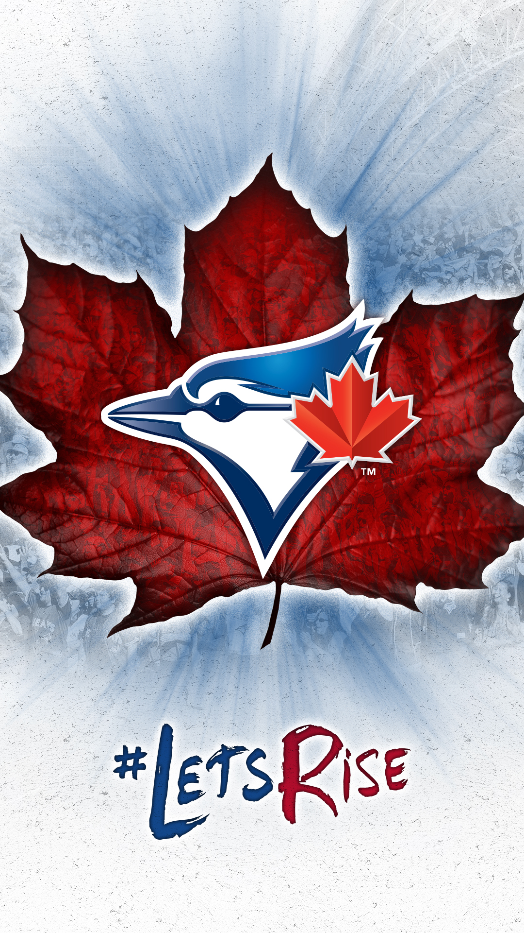 Download Download - Toronto Blue Jays New , HD Wallpaper & Backgrounds