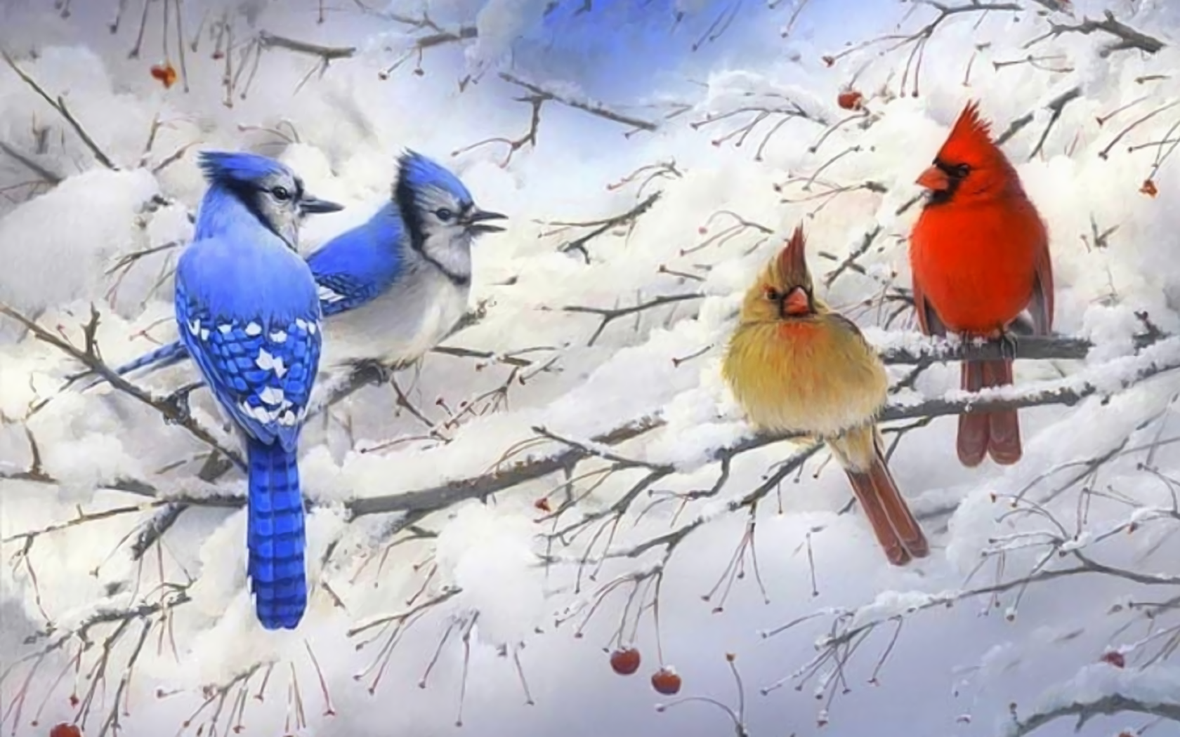 Wallpapers Id - - Winter Scene With Birds , HD Wallpaper & Backgrounds