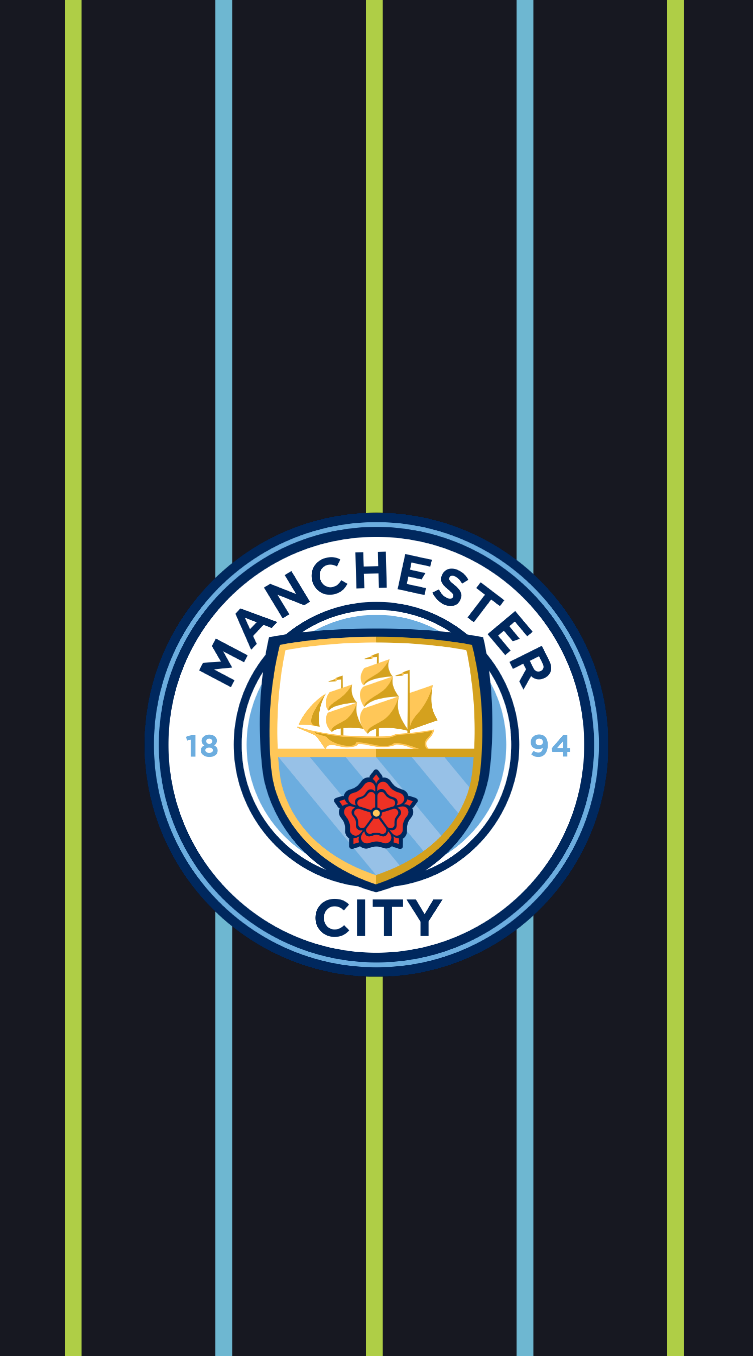 Tottenham Vs Manchester City Champions League , HD Wallpaper & Backgrounds