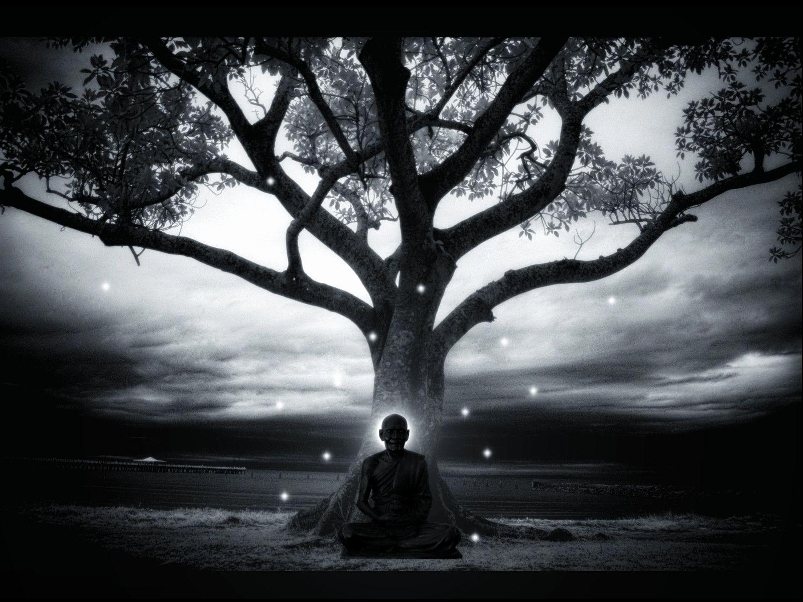 Imagenes De Meditacion Zen , HD Wallpaper & Backgrounds