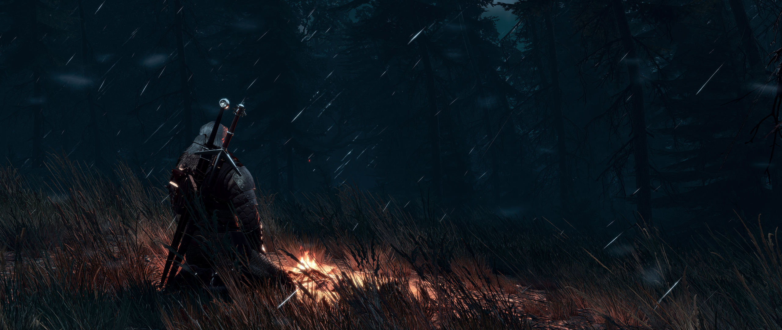 Hd Wallpaper - The Witcher , HD Wallpaper & Backgrounds