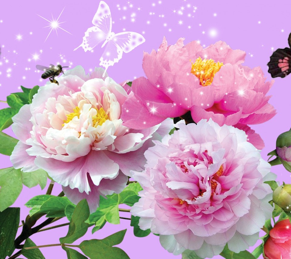 Flowers Animated Wallpaper For Desktop Archives - Flower Wallpapers For Mobile Phones , HD Wallpaper & Backgrounds
