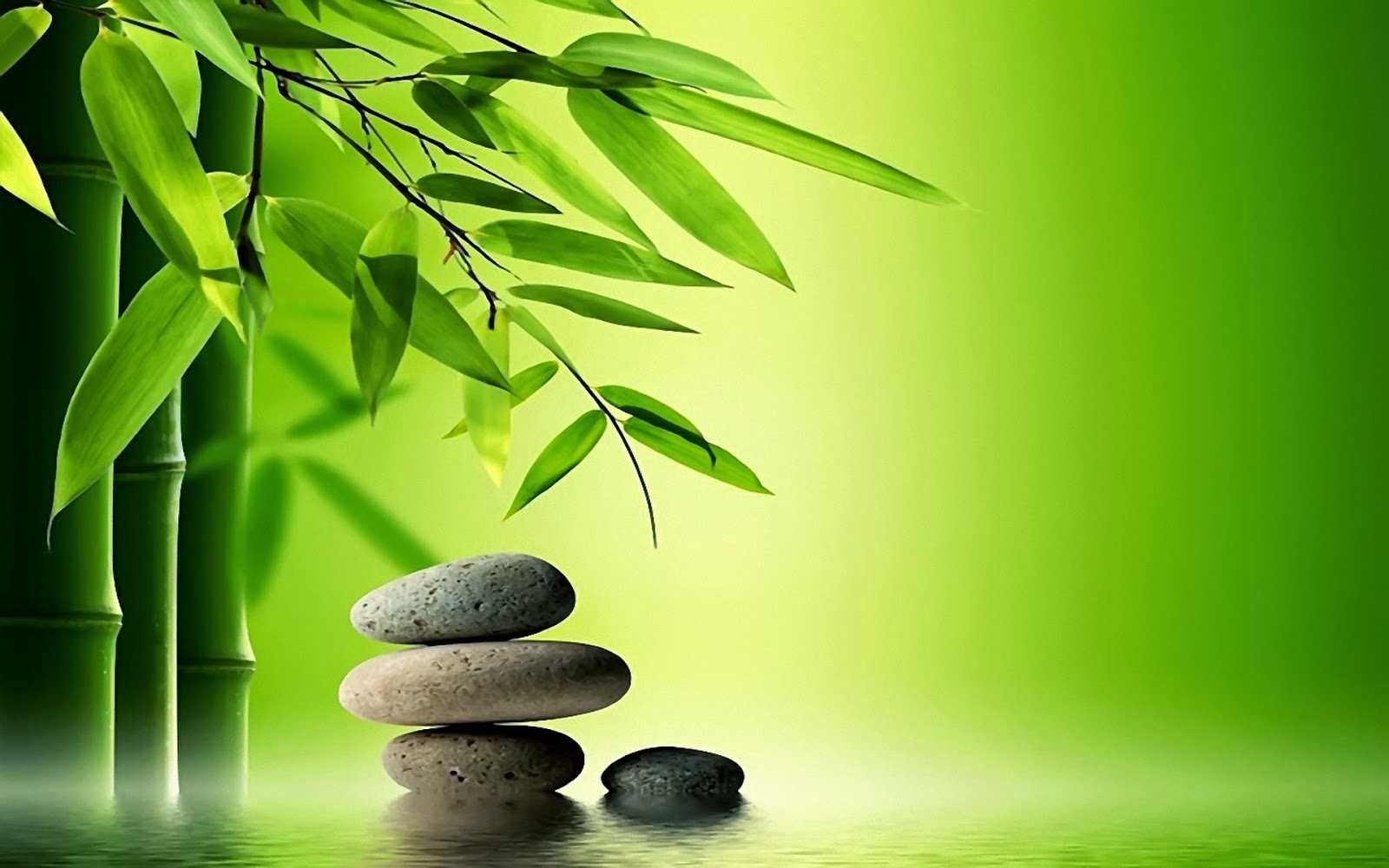 Zen Desktop Wallpaper Also Chinese Meditation Picturesfull - Bamboo Tree , HD Wallpaper & Backgrounds