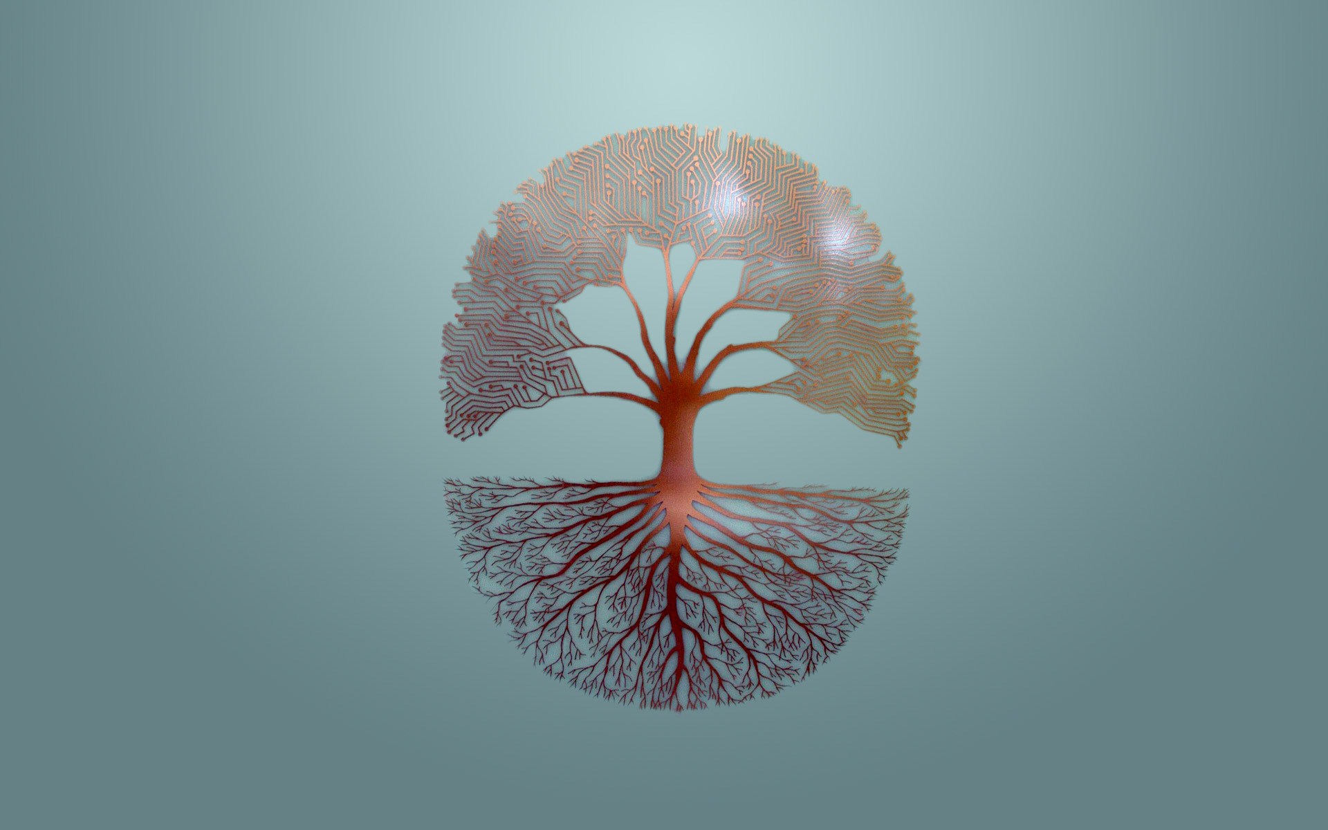 Tree Of Life Wallpaper Iphone , HD Wallpaper & Backgrounds