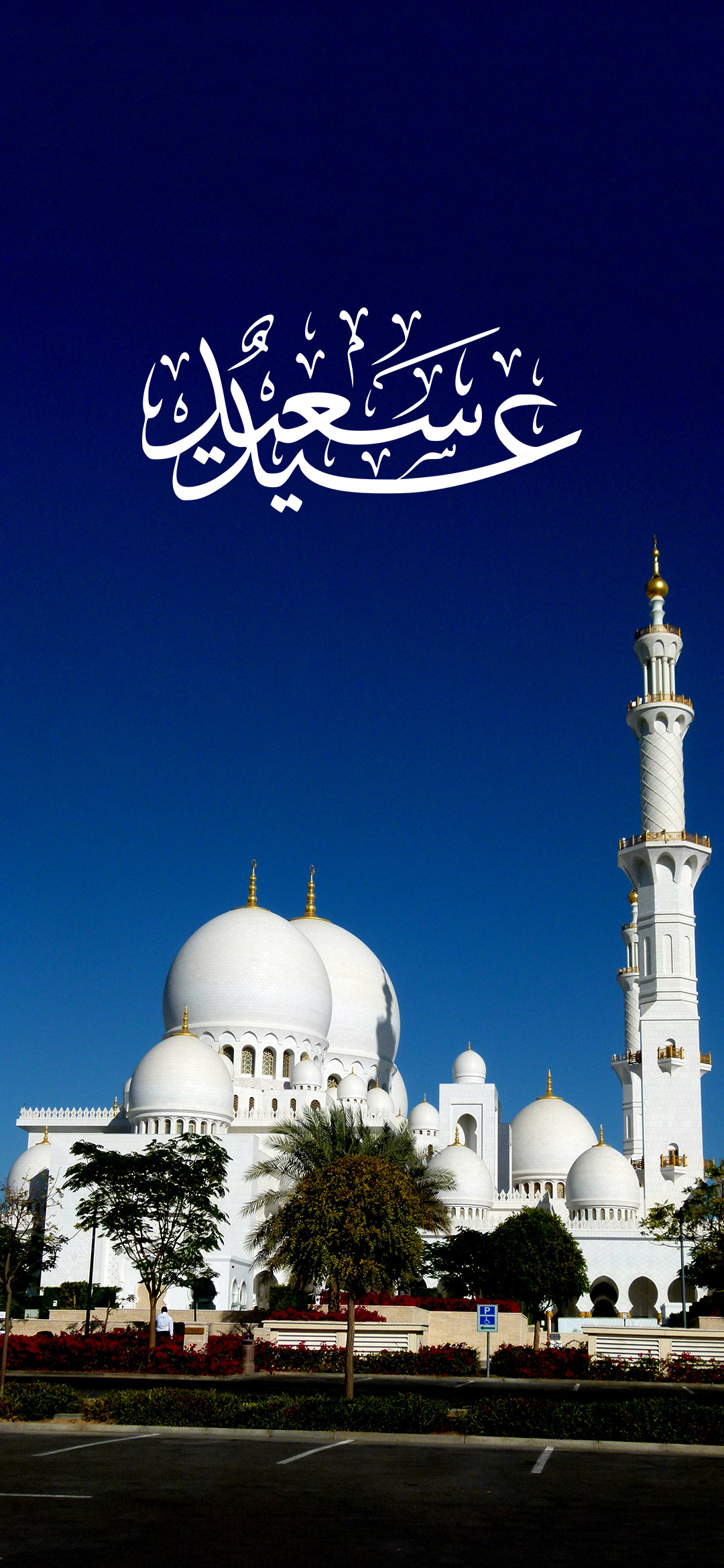 Sheikh Zayed Grand Mosque Center Islamic Wallpaper - Mosque , HD Wallpaper & Backgrounds