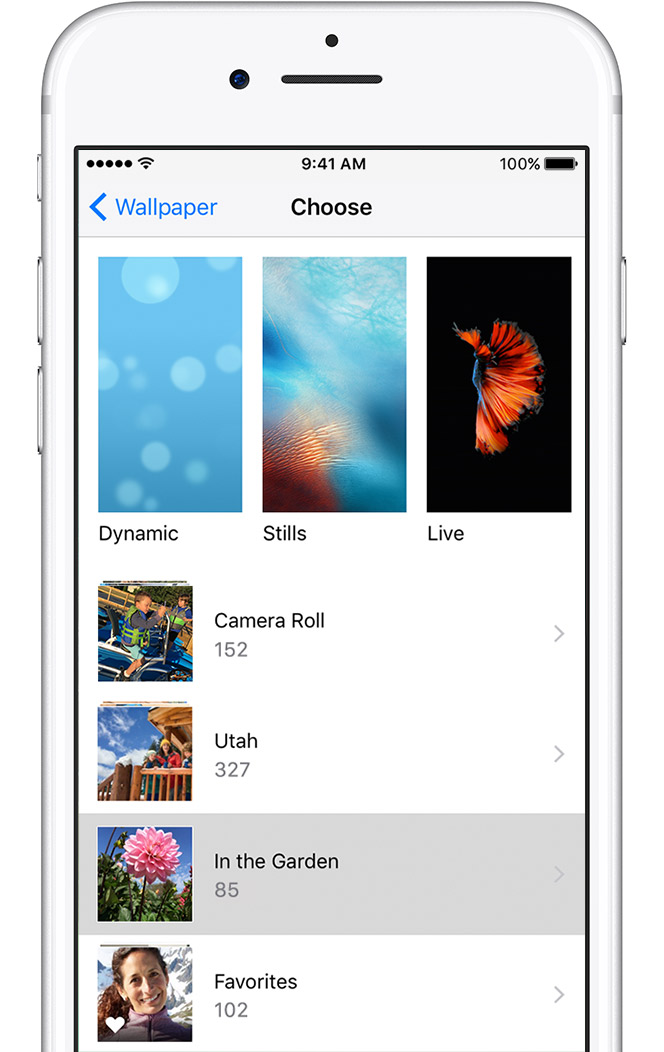 Choose Screen - Iphone Wallpaper Settings , HD Wallpaper & Backgrounds
