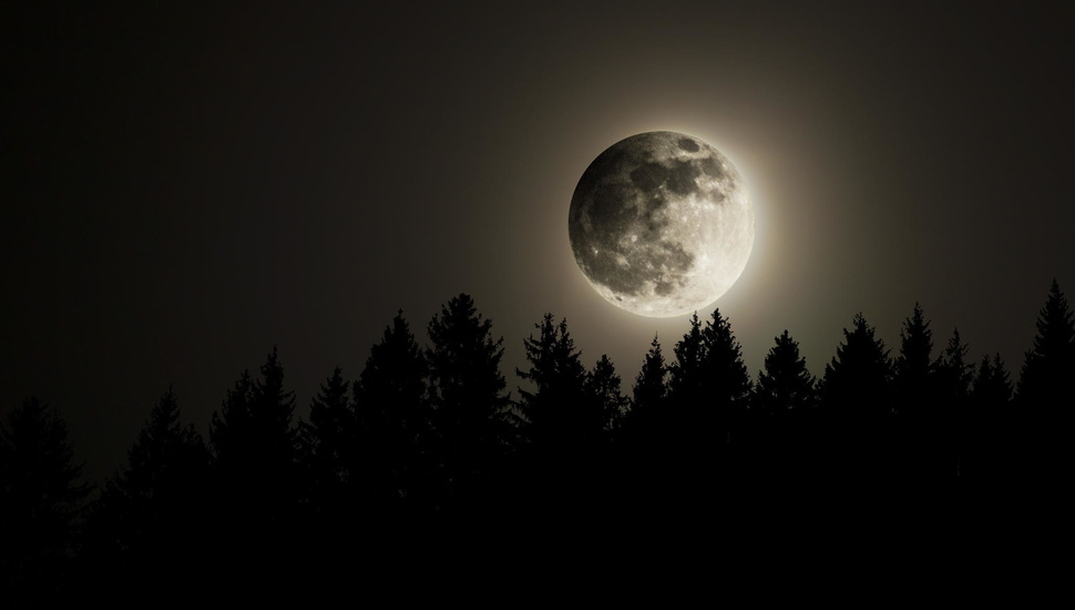 The Full Moon, The Sky, Night, Forest, The Moon Desktop - Full Moon , HD Wallpaper & Backgrounds