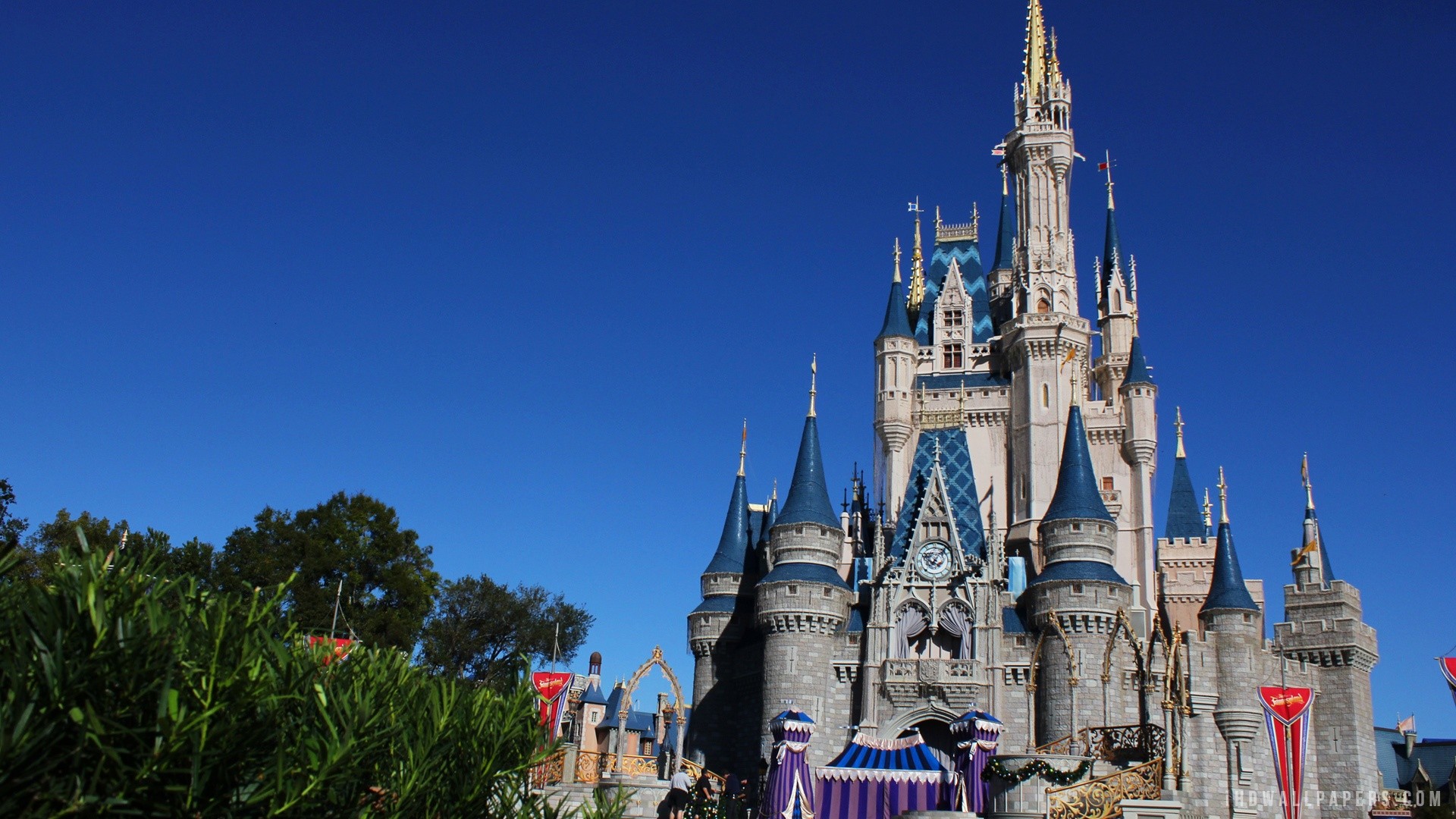 Disney Castle Hd Wallpaper - Disney World, Cinderella Castle , HD Wallpaper & Backgrounds