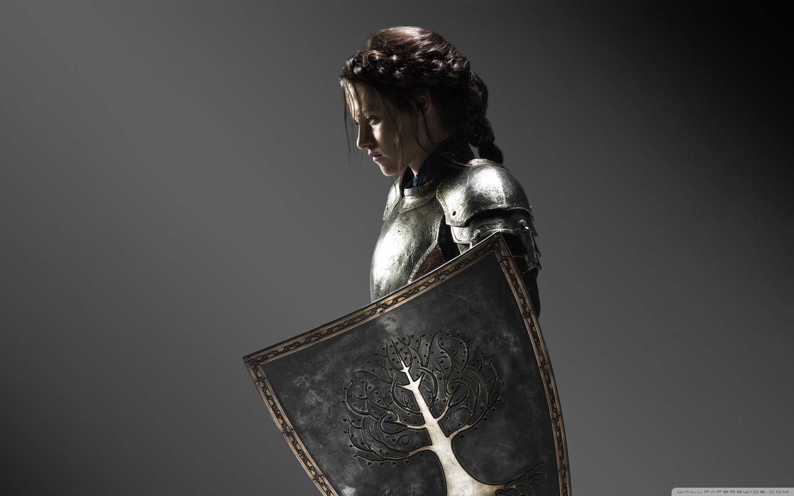 Snow White And The Huntsman (2012) , HD Wallpaper & Backgrounds