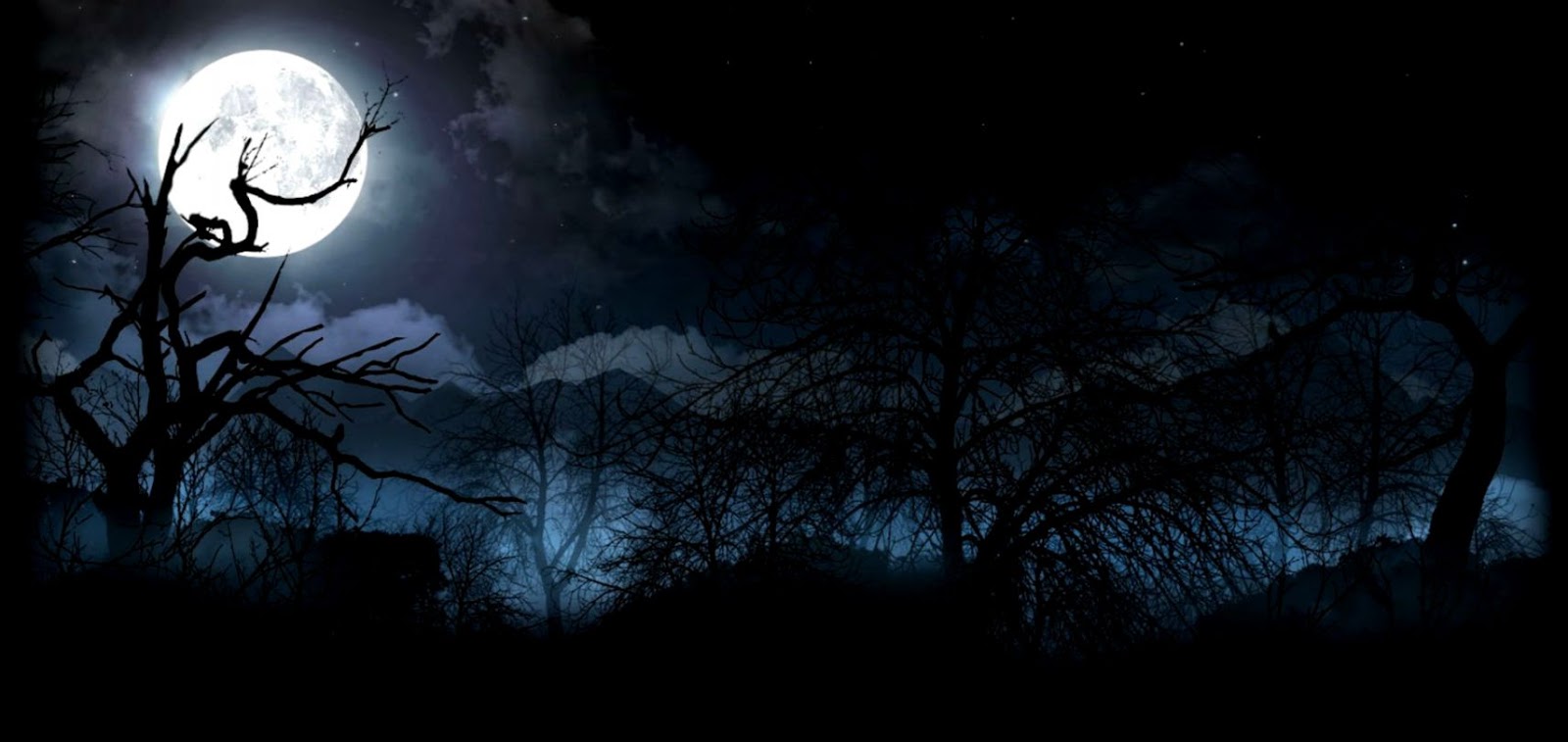 Forest Moon Wallpapers - Horror Moon Background Hd , HD Wallpaper & Backgrounds