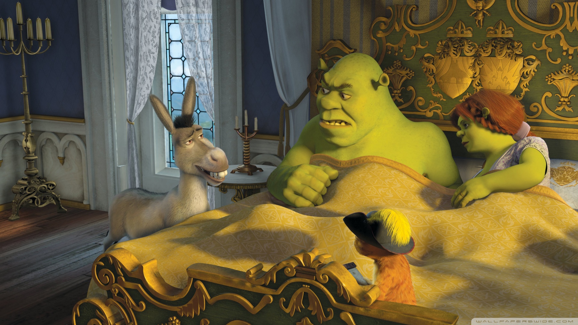 Donkey Puss In Boots Shrek And Princess Fiona Wallpaper - Fiona X Donkey , HD Wallpaper & Backgrounds