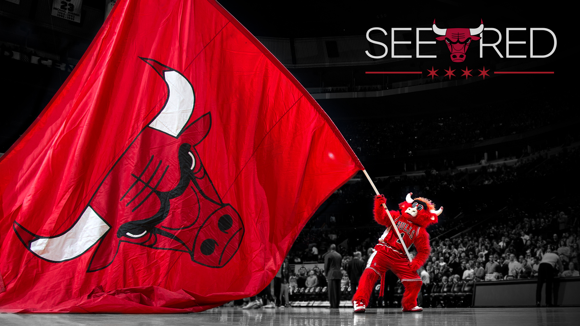 Chicago Bulls - Chicago Bulls Desktop Background , HD Wallpaper & Backgrounds