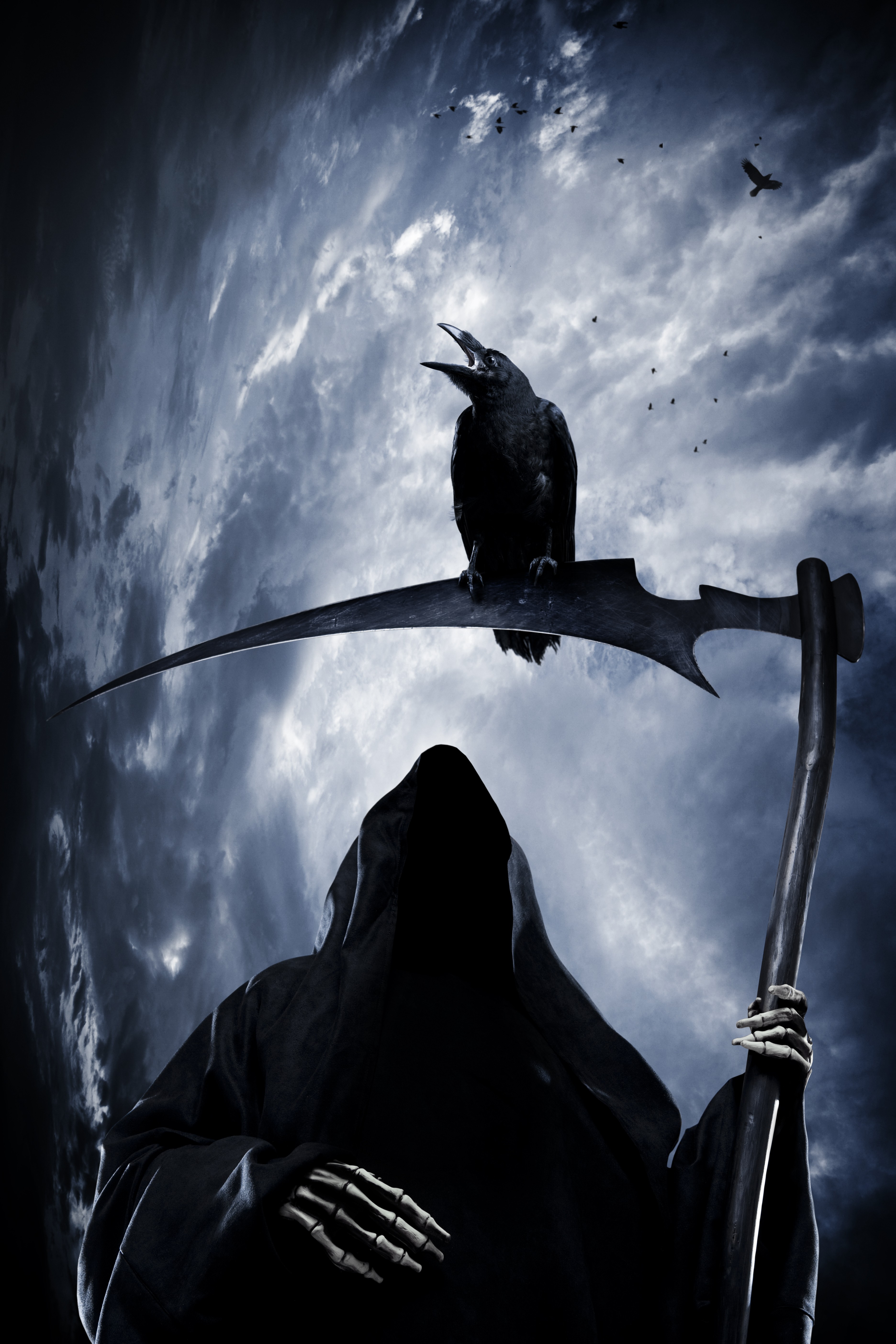 Wallpaper - Grim Reaper And Crow , HD Wallpaper & Backgrounds