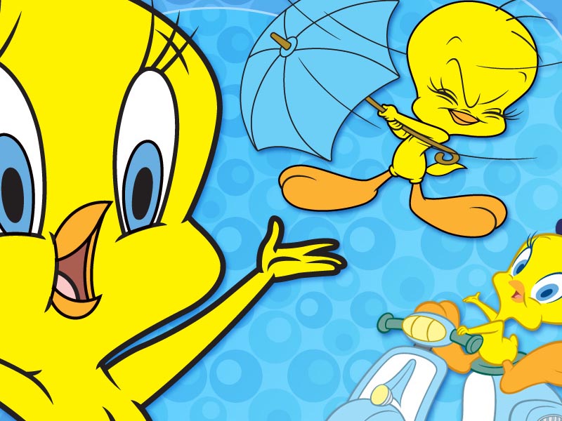 Tweety Bird , HD Wallpaper & Backgrounds