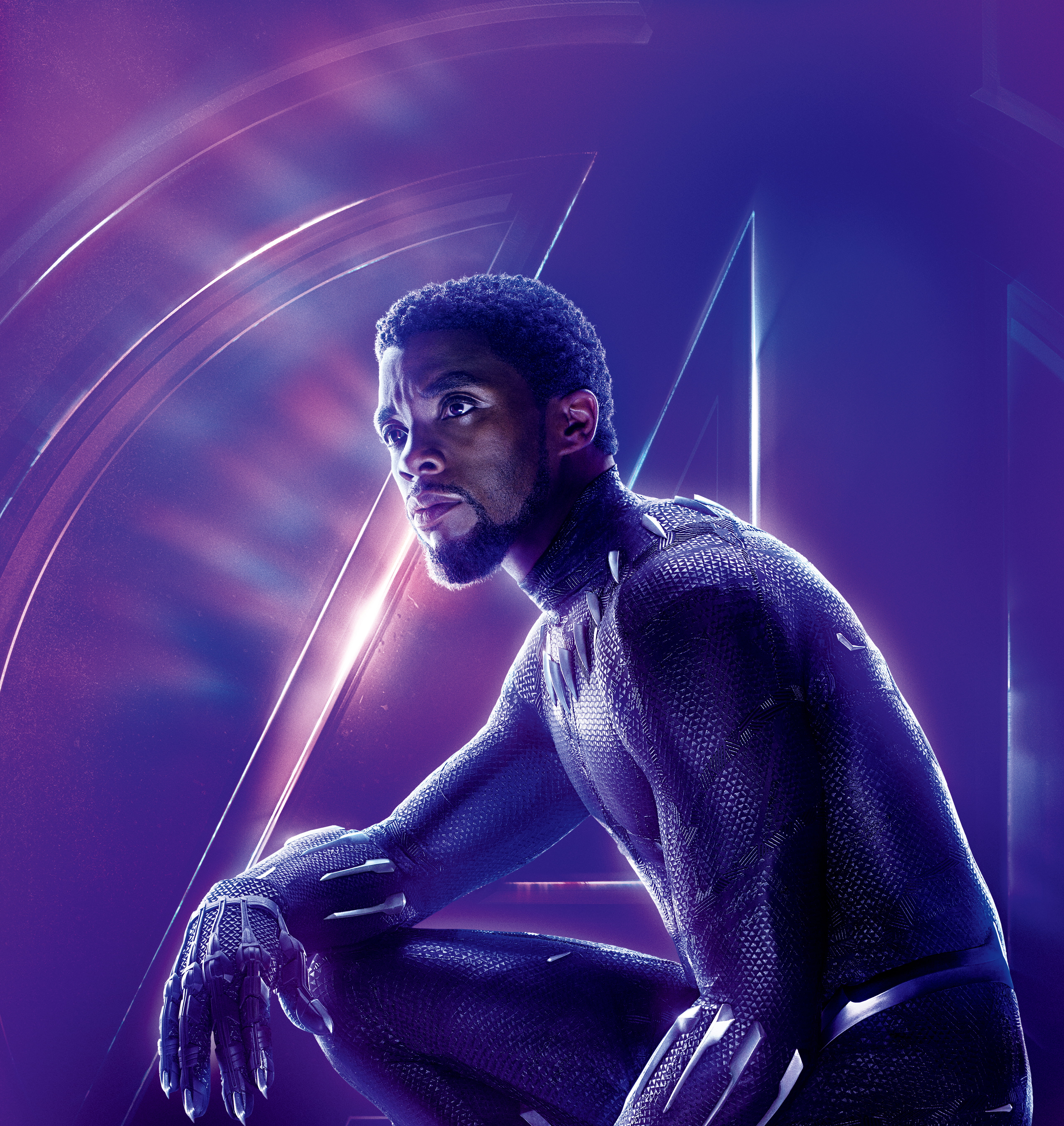 Black Panther Endgame Poster , HD Wallpaper & Backgrounds