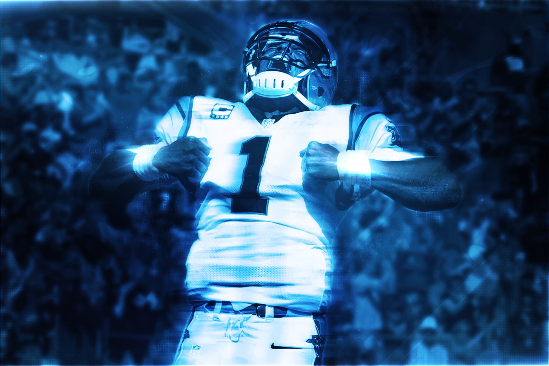 Carolina Panthers Display Screen , HD Wallpaper & Backgrounds