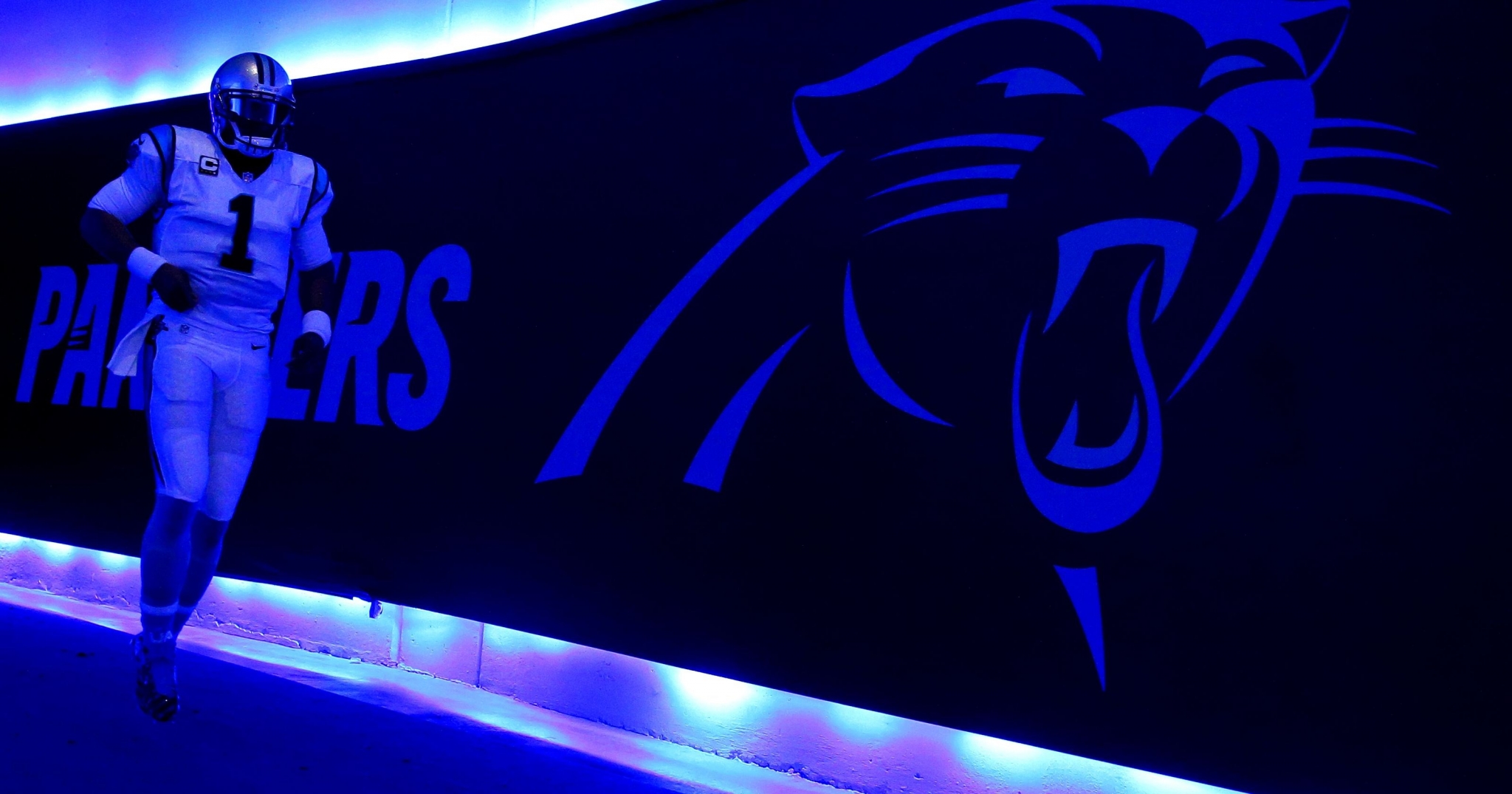 Carolina Panthers Wallpaper - Cool Background Carolina Panthers , HD Wallpaper & Backgrounds