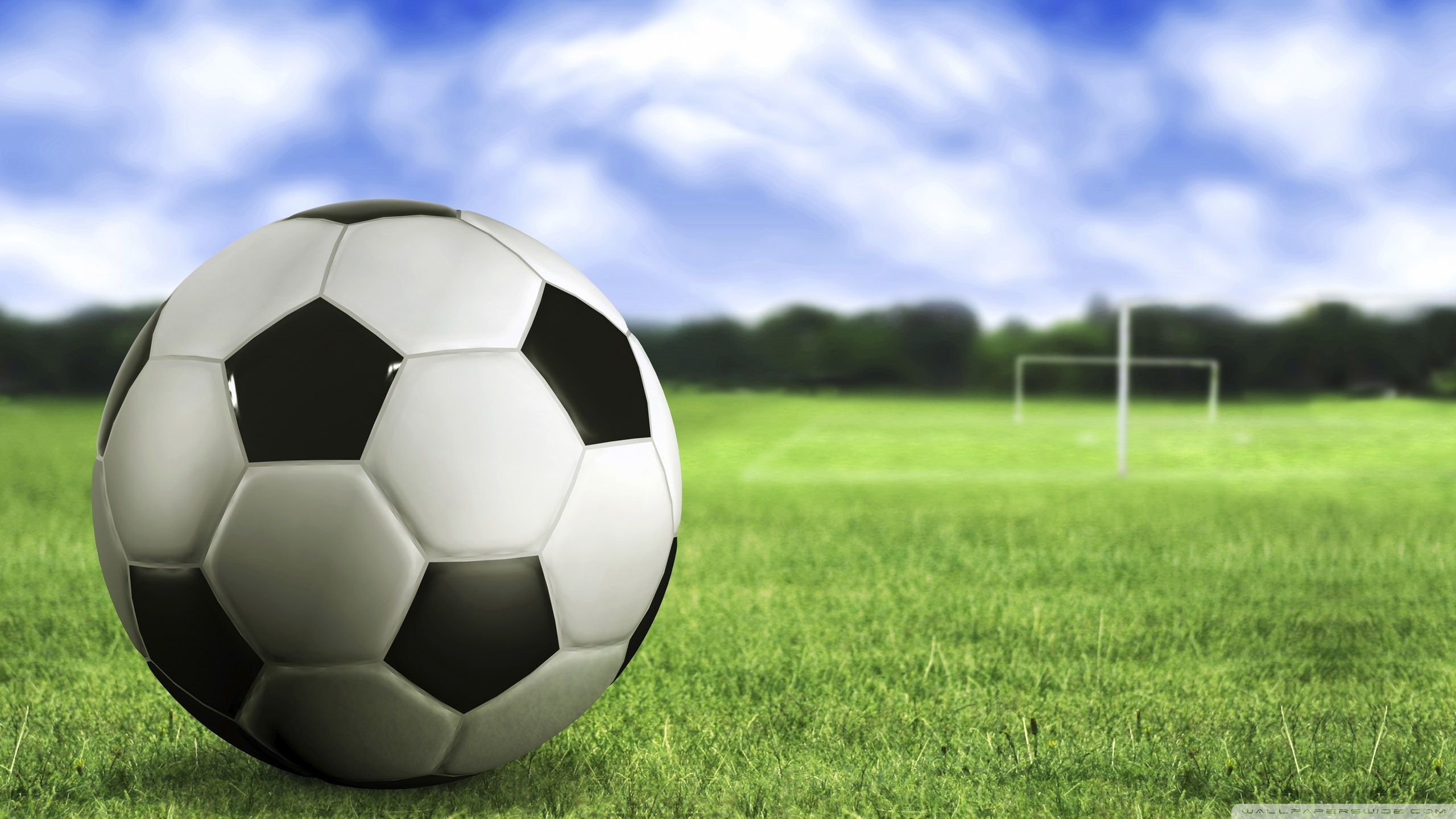 Soccer Ball On Grass , HD Wallpaper & Backgrounds