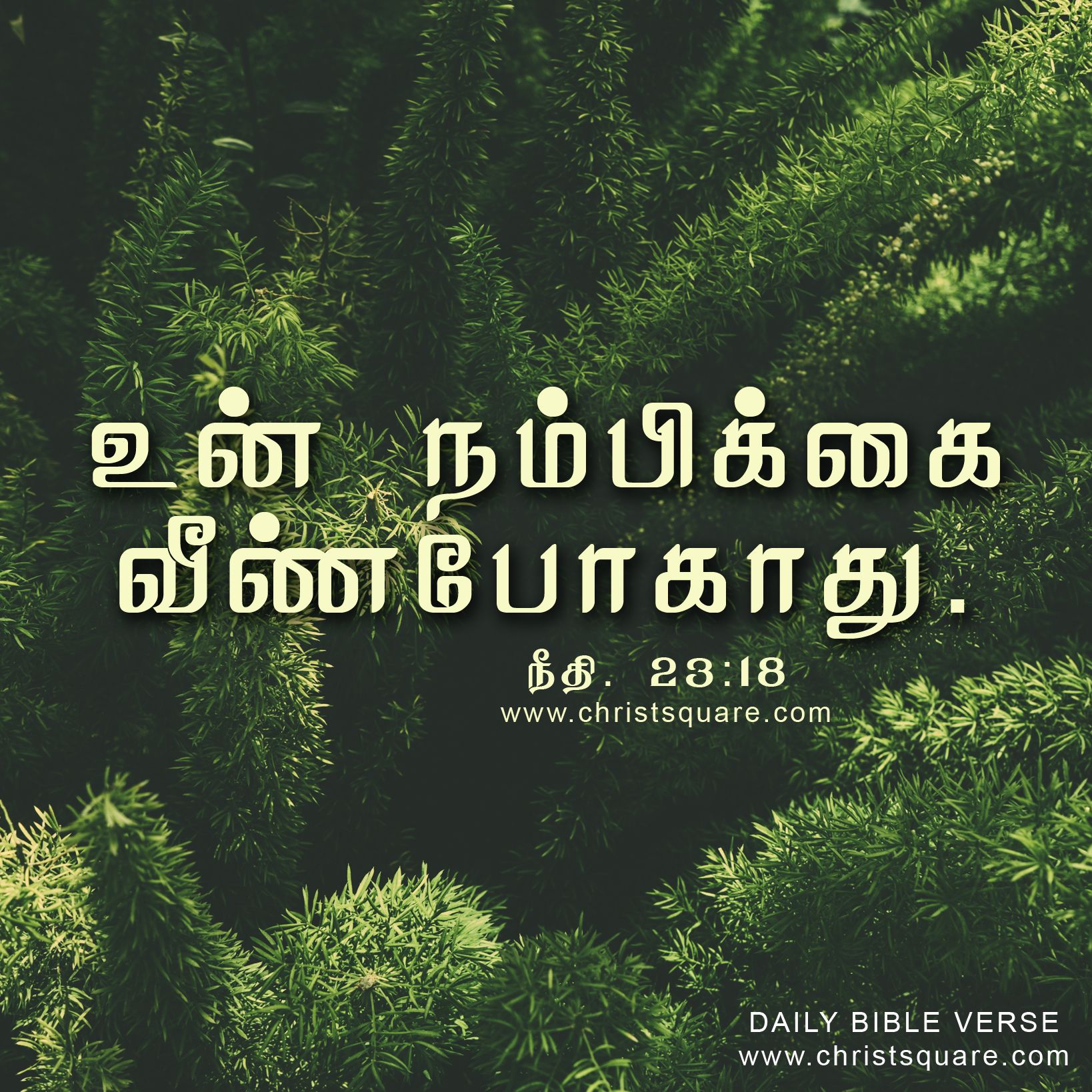Tamil Christian Bible Verse , HD Wallpaper & Backgrounds
