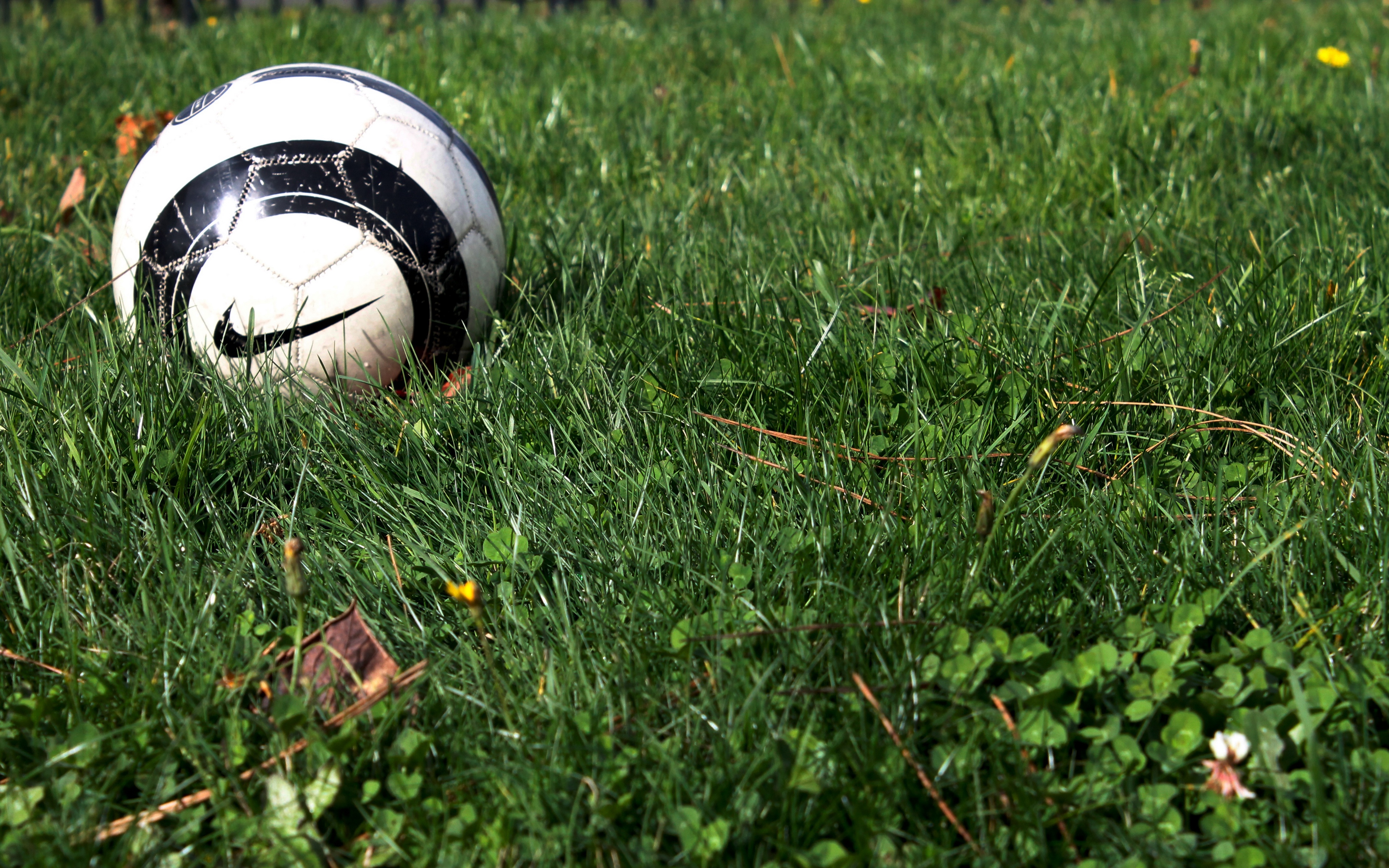 Wallpaper Soccer Ball, Nike, Grass - Galaxy Note Wallpaper Soccer , HD Wallpaper & Backgrounds